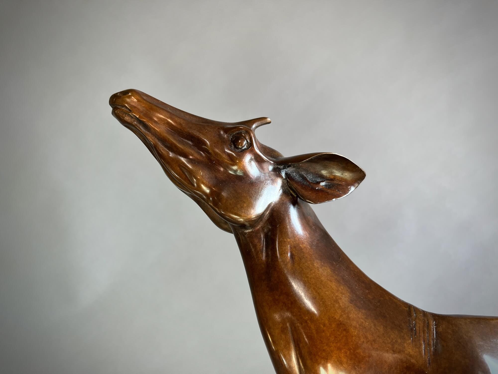 Jonathan Knight | Okapi