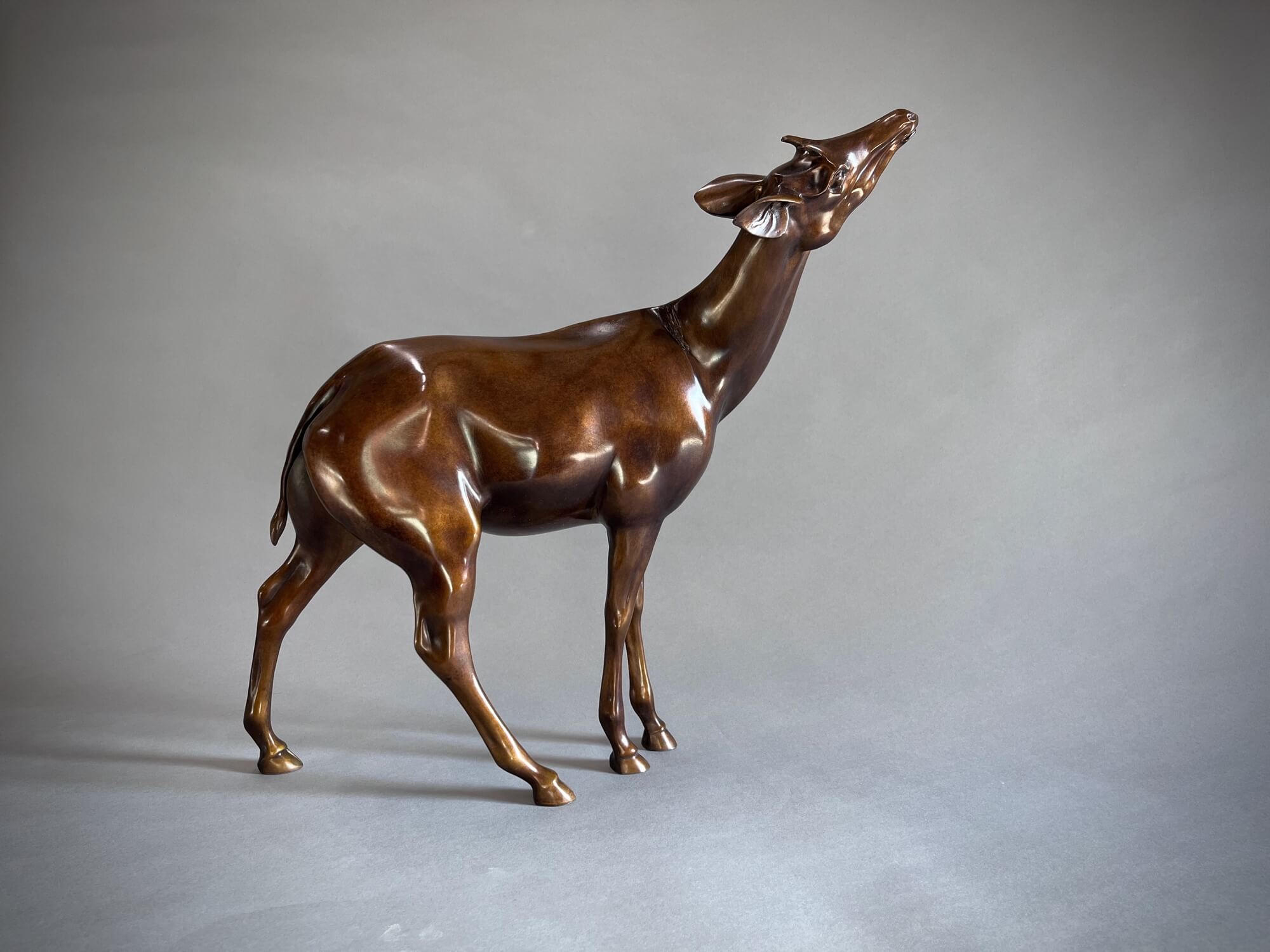 Jonathan Knight | Okapi