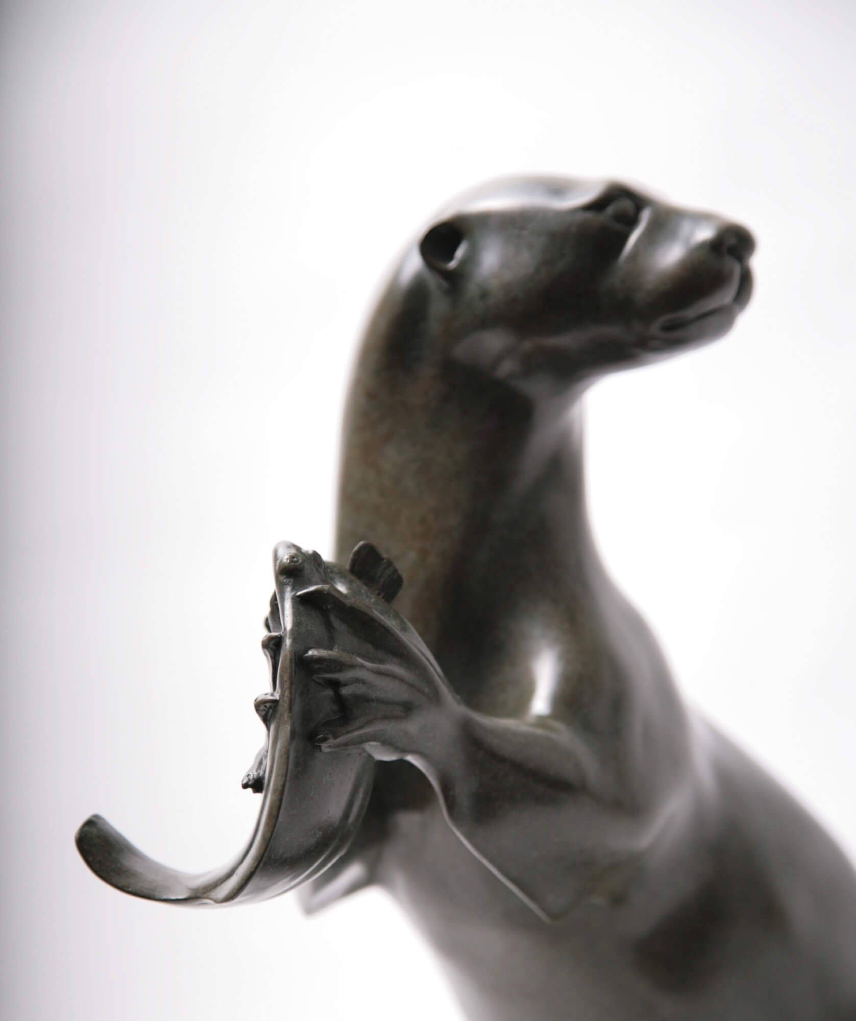 Jonathan Knight | Otter and Fish