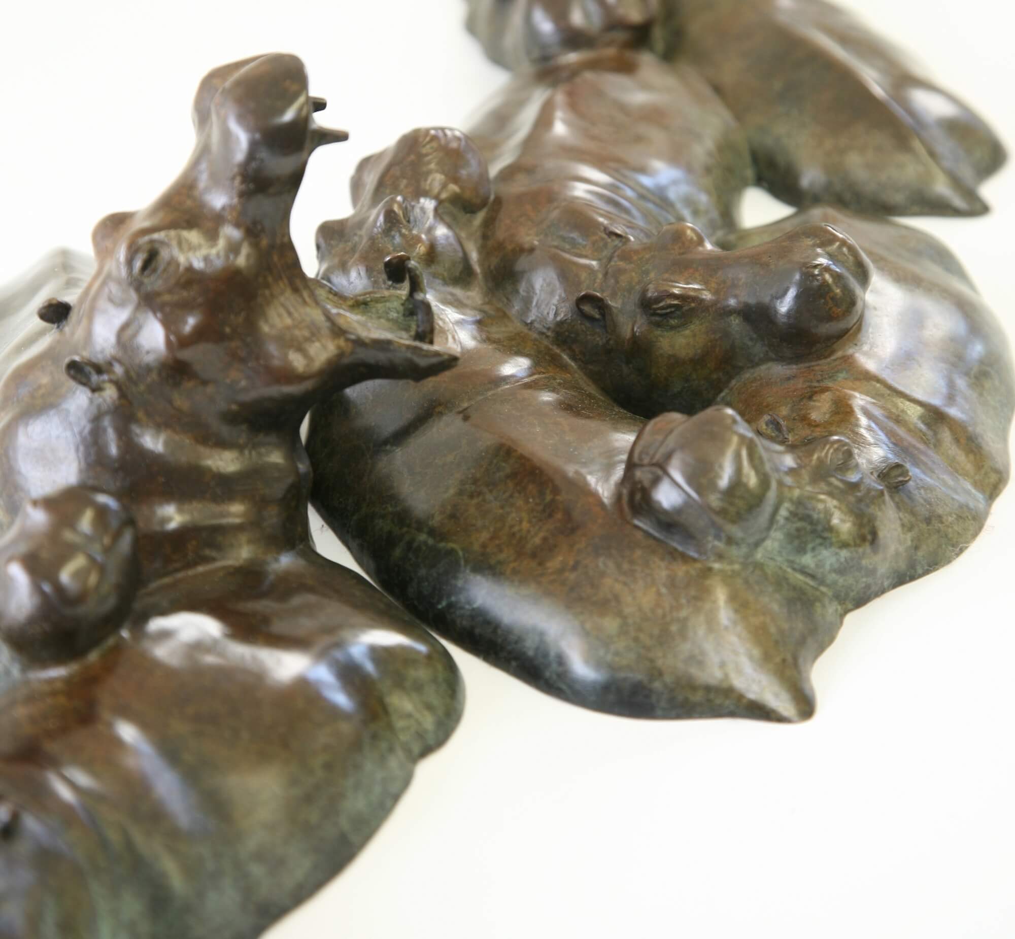 Jonathan Knight | Pod of Hippos