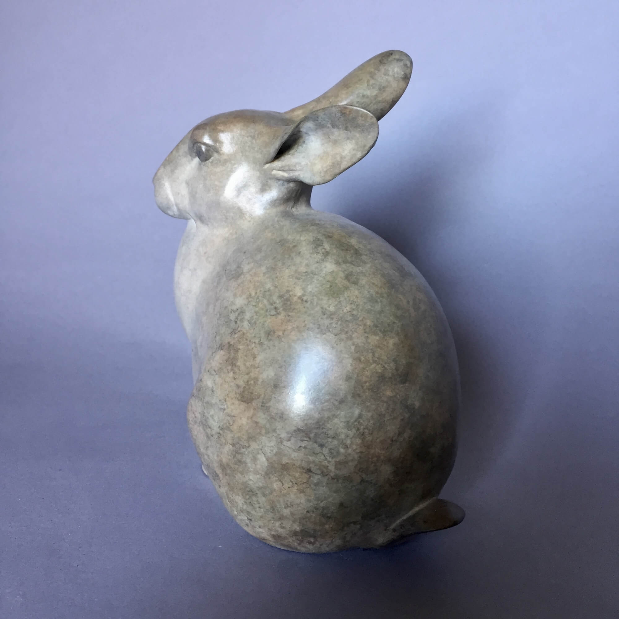 Jonathan Knight | Rabbit