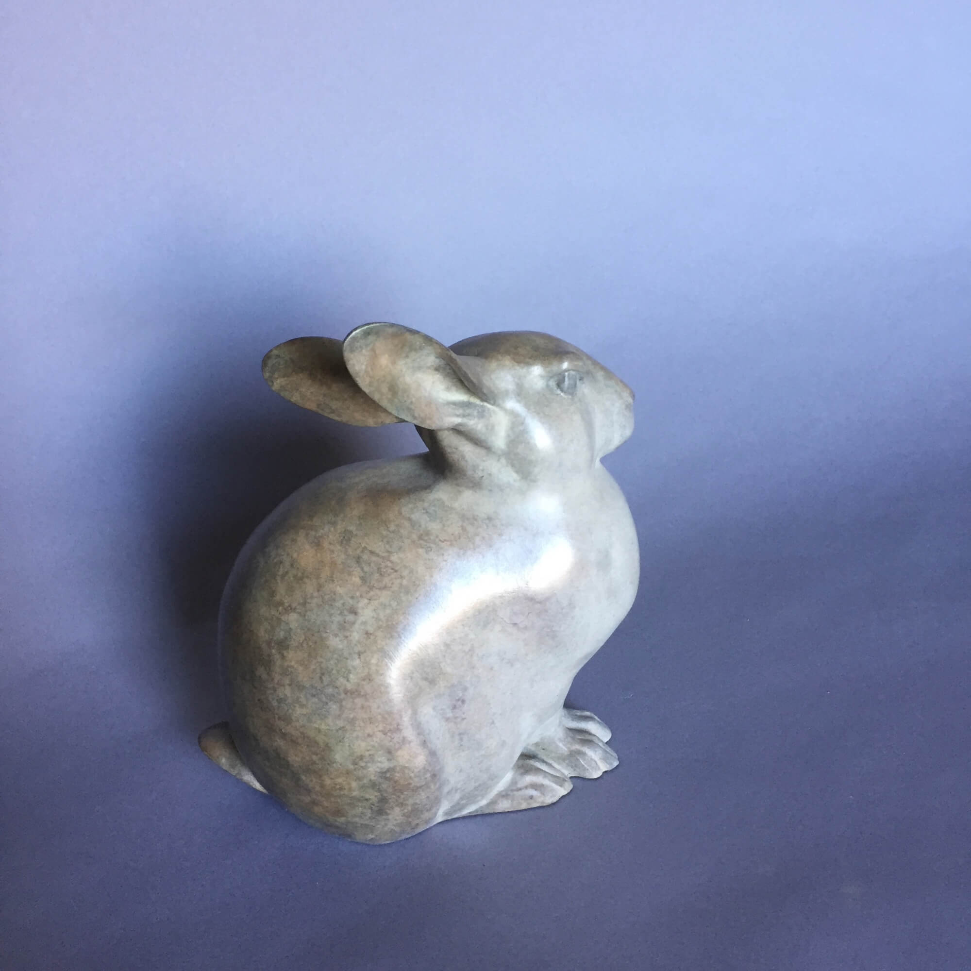 Jonathan Knight | Rabbit