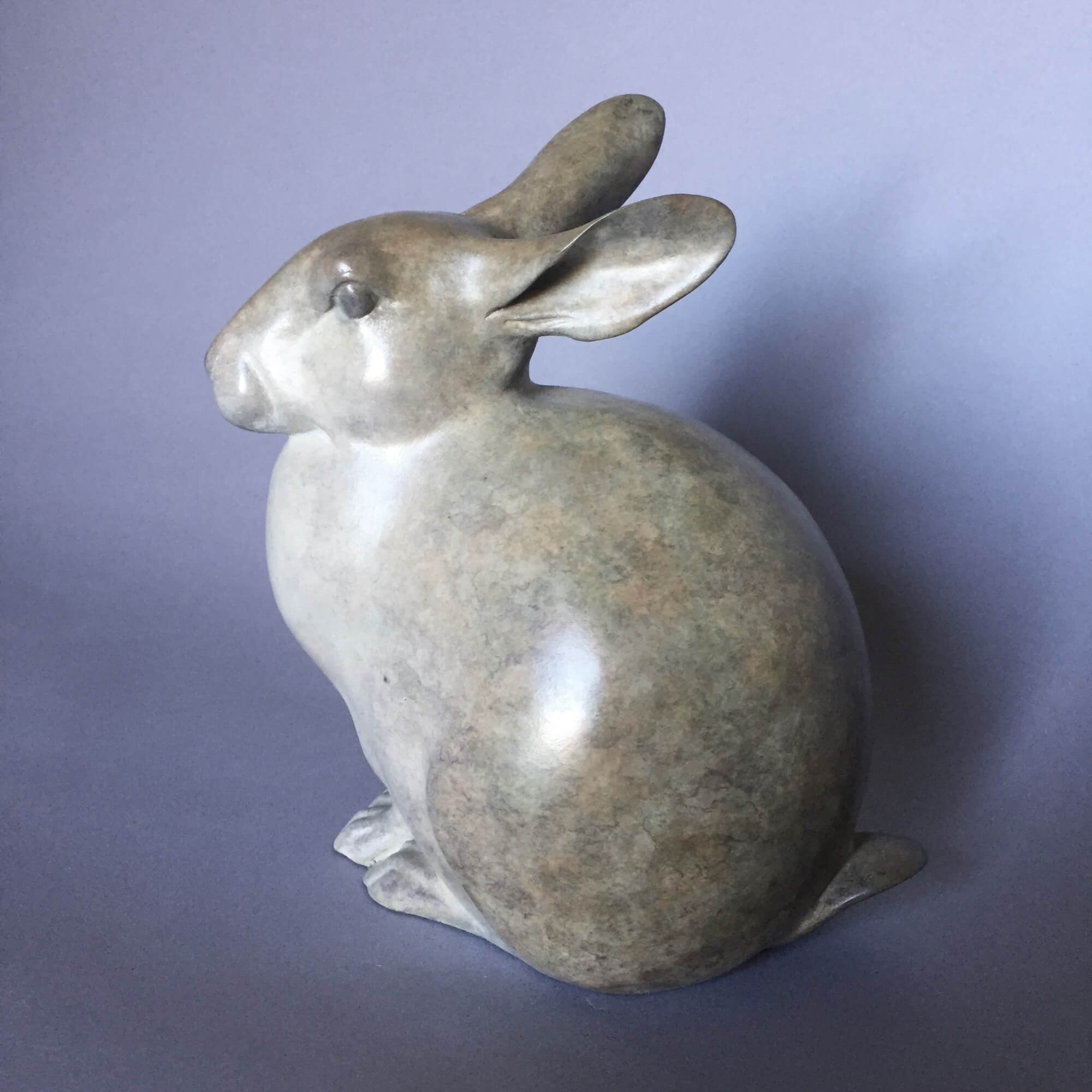 Jonathan Knight | Rabbit
