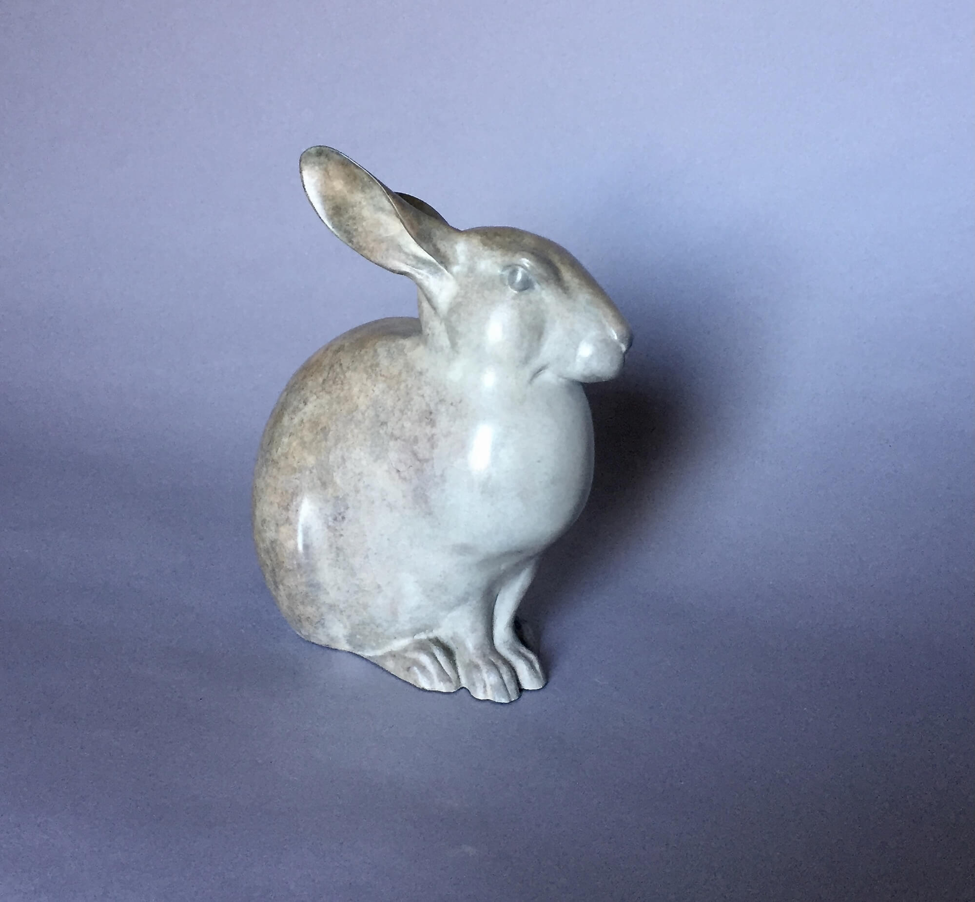 Jonathan Knight | Rabbit