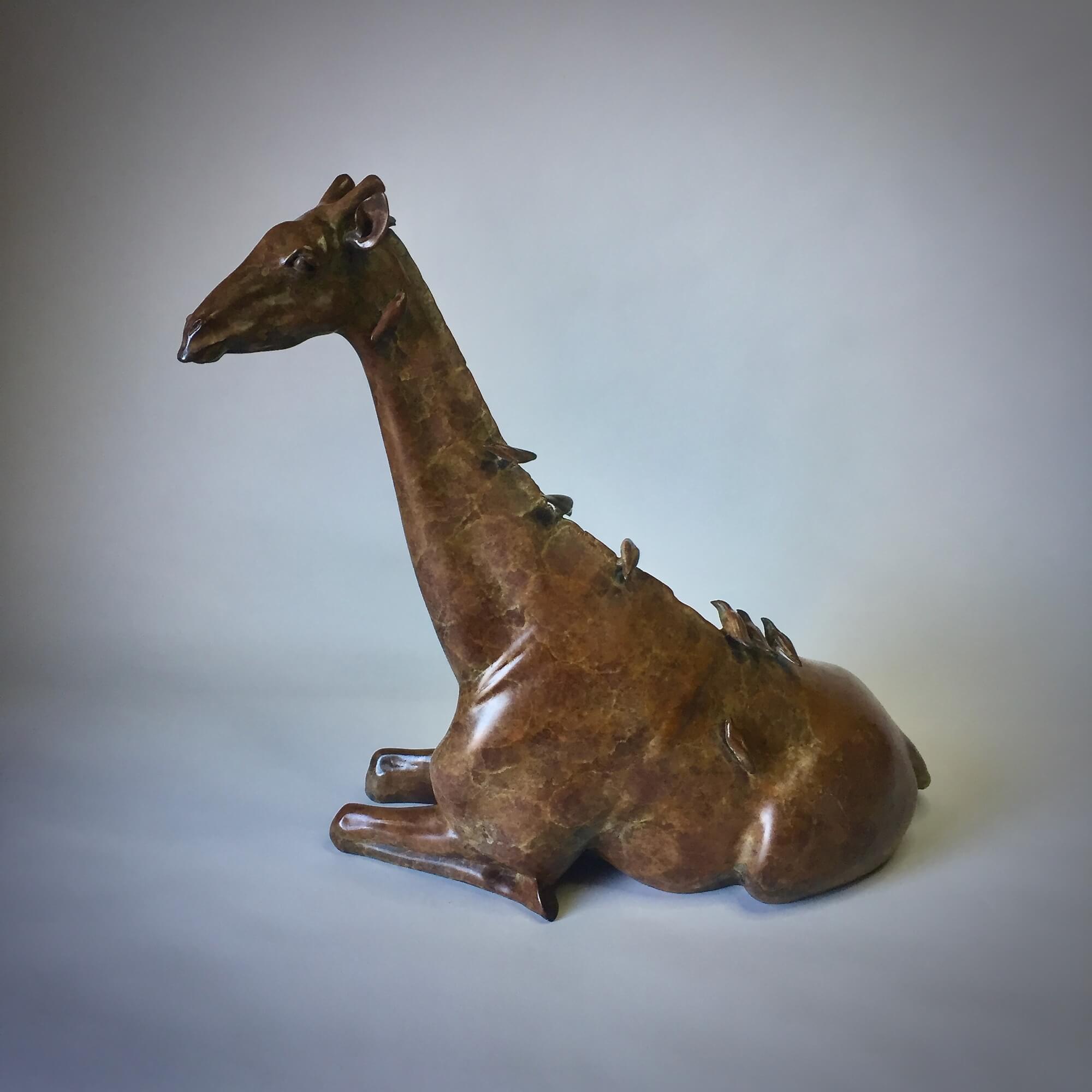 Jonathan Knight | Resting Giraffe