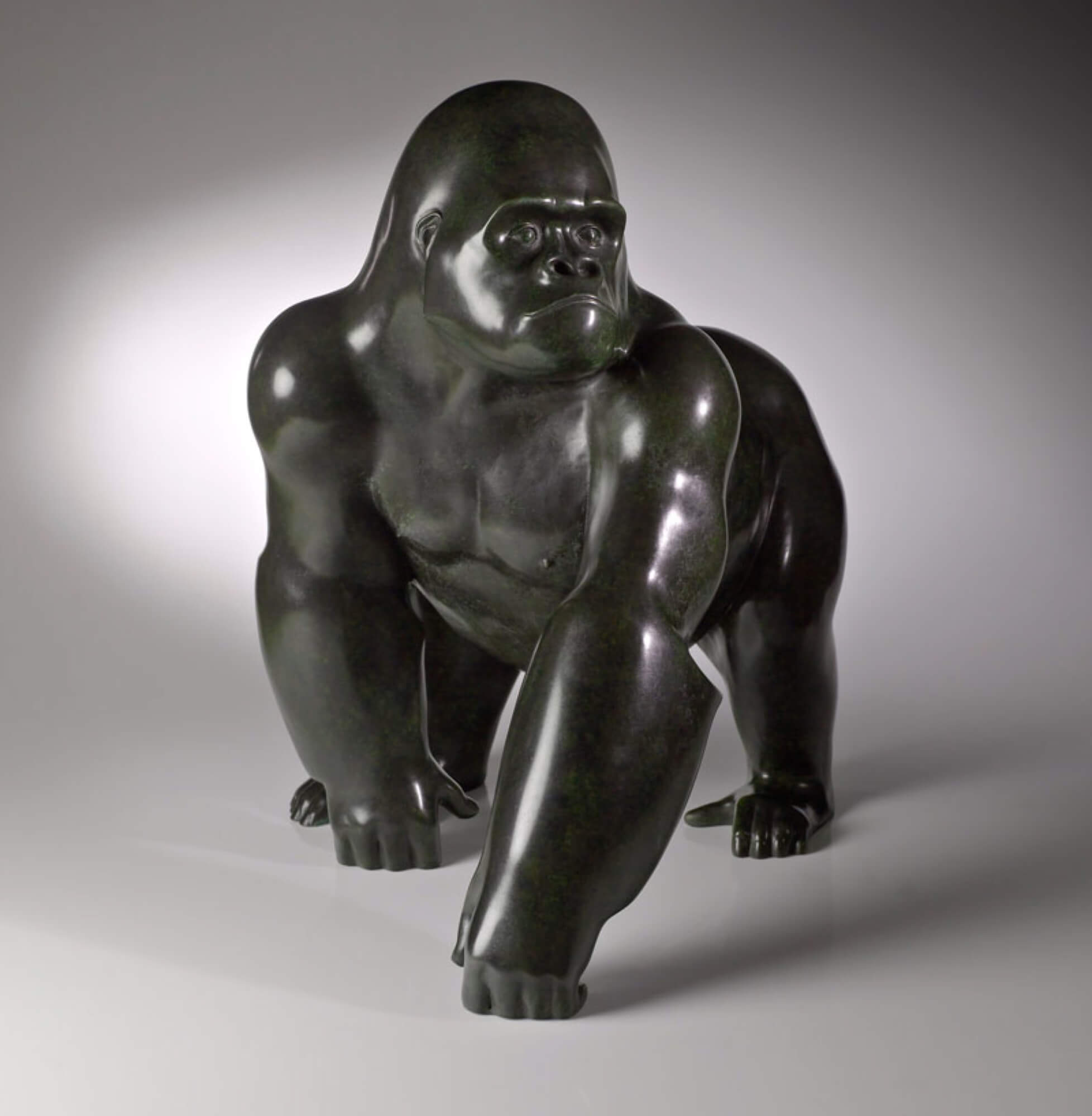 Jonathan Knight | Silverback