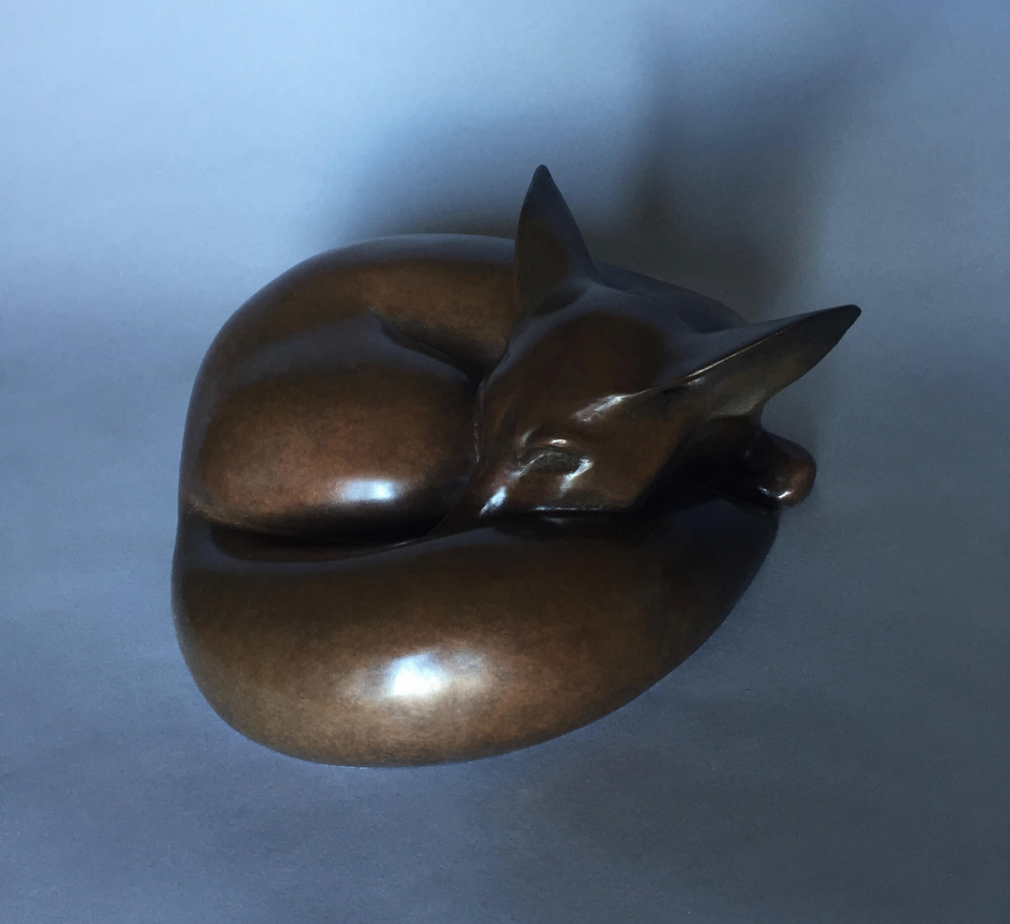 Jonathan Knight | Sleeping Fox