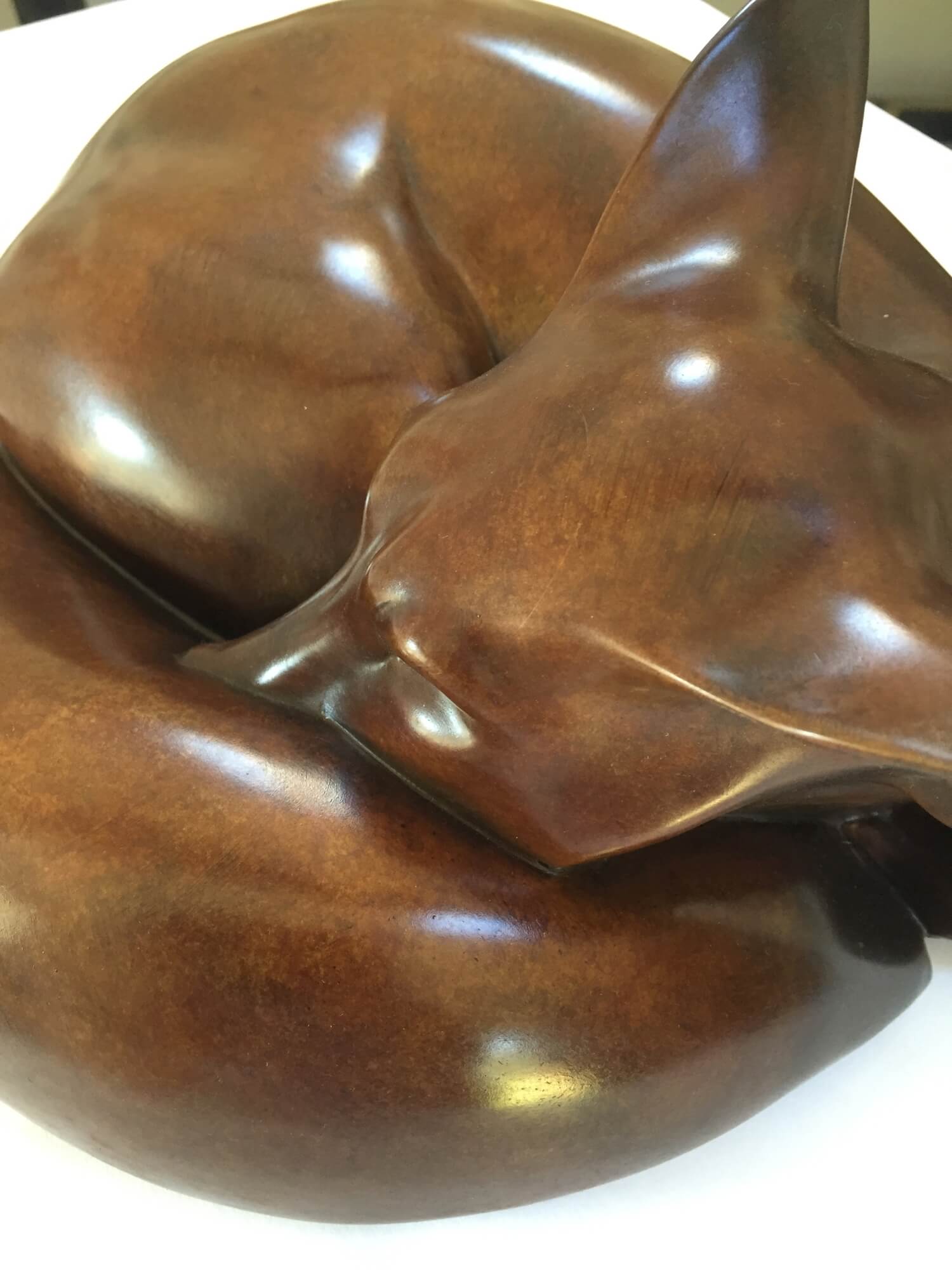Jonathan Knight | Sleeping Fox