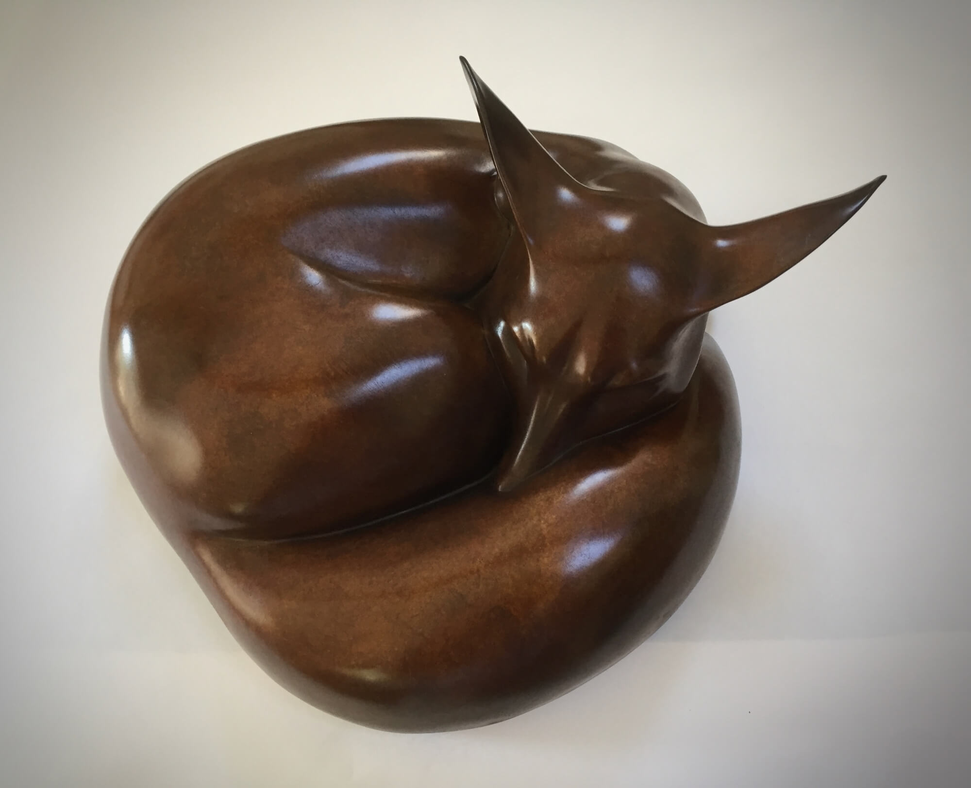Jonathan Knight | Sleeping Fox
