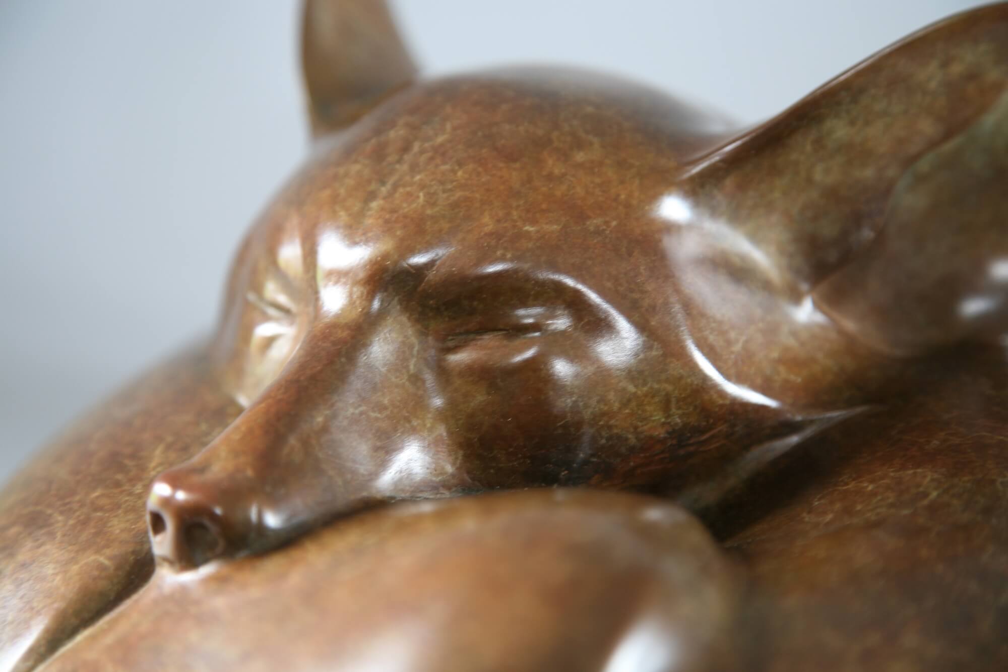 Jonathan Knight | Sleeping Fox II