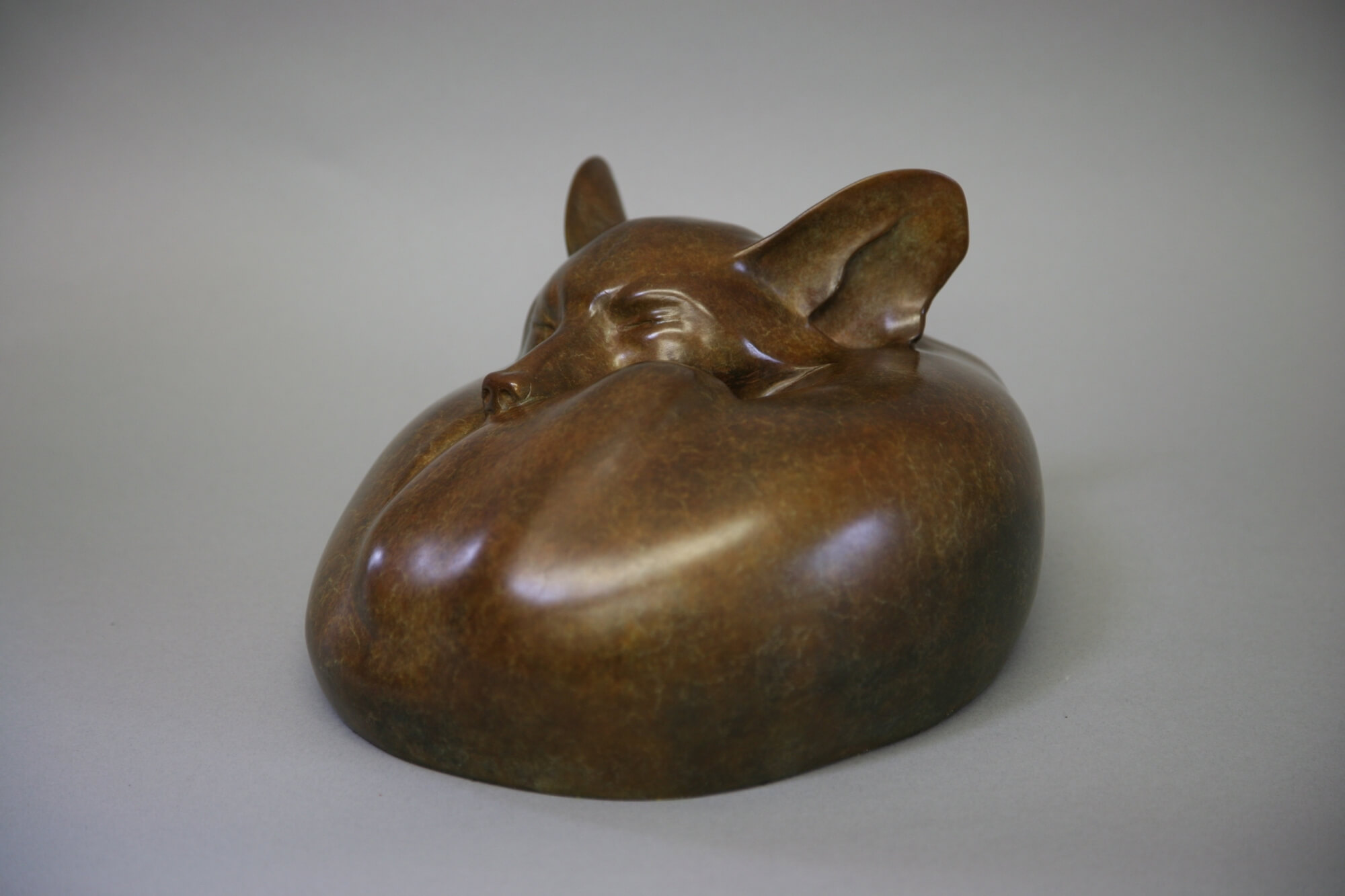 Jonathan Knight | Sleeping Fox II