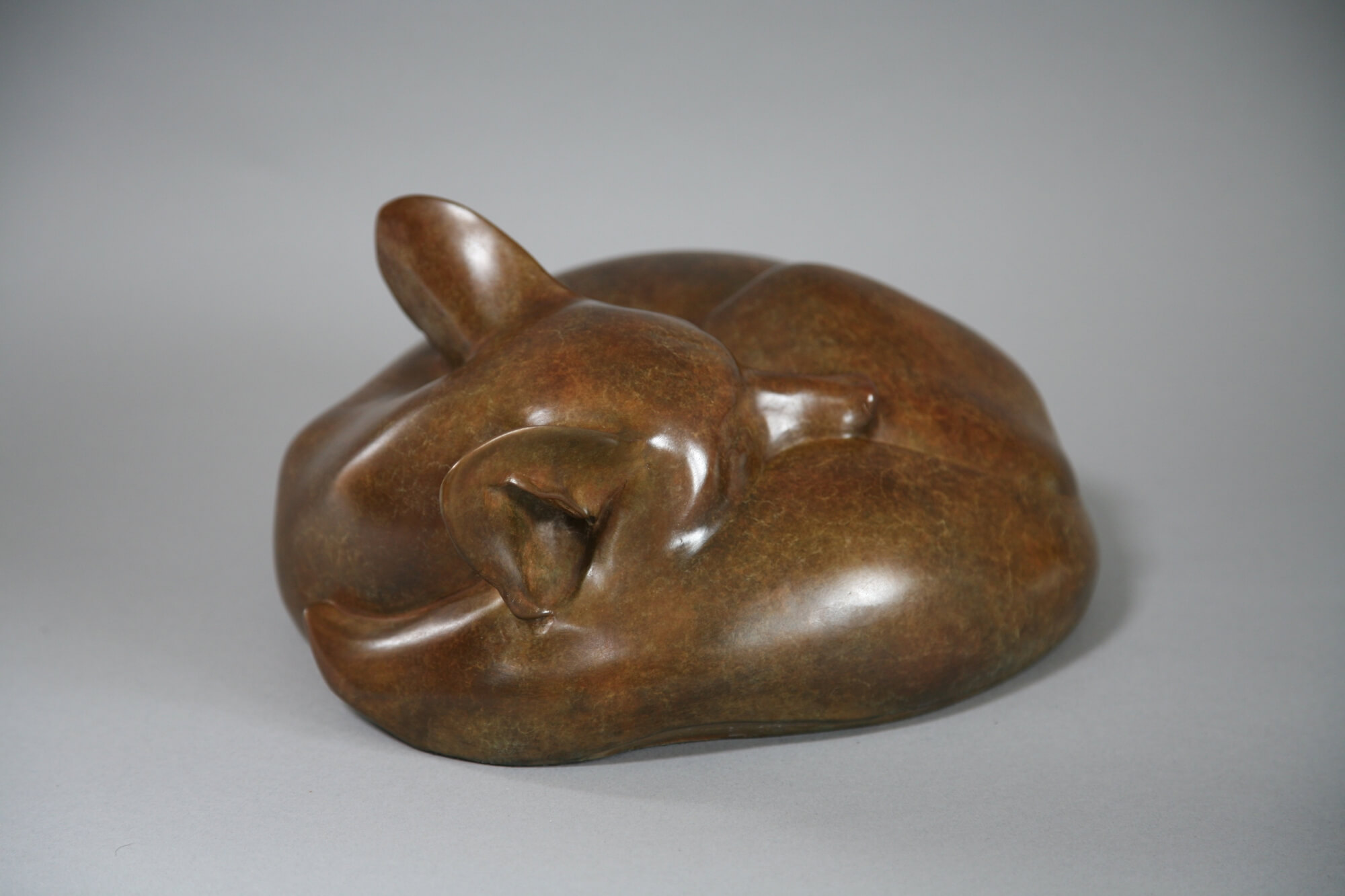 Jonathan Knight | Sleeping Fox II