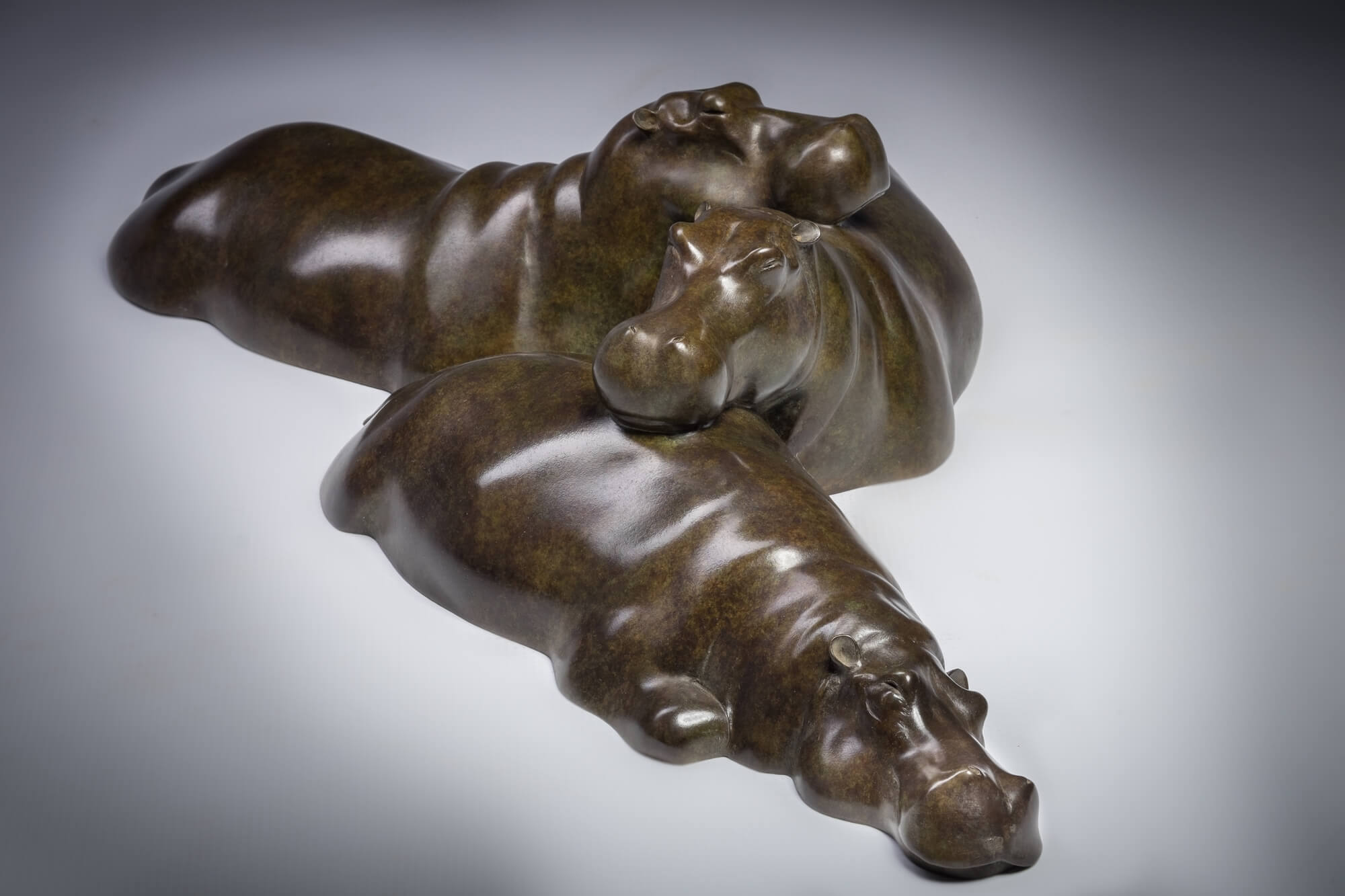 Jonathan Knight | Sleeping Hippos