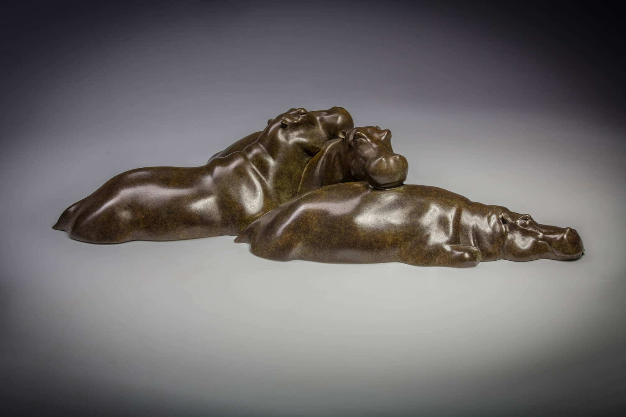 Jonathan Knight | Sleeping Hippos