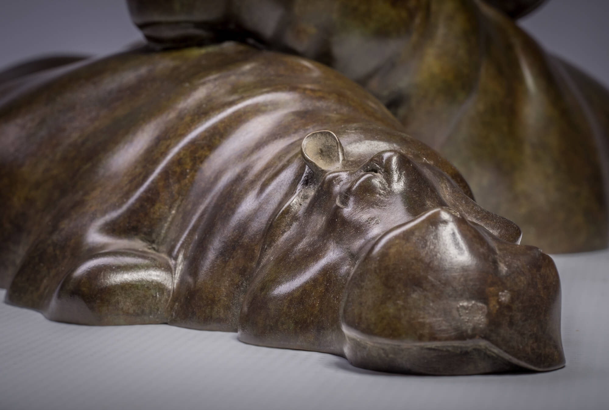Jonathan Knight | Sleeping Hippos
