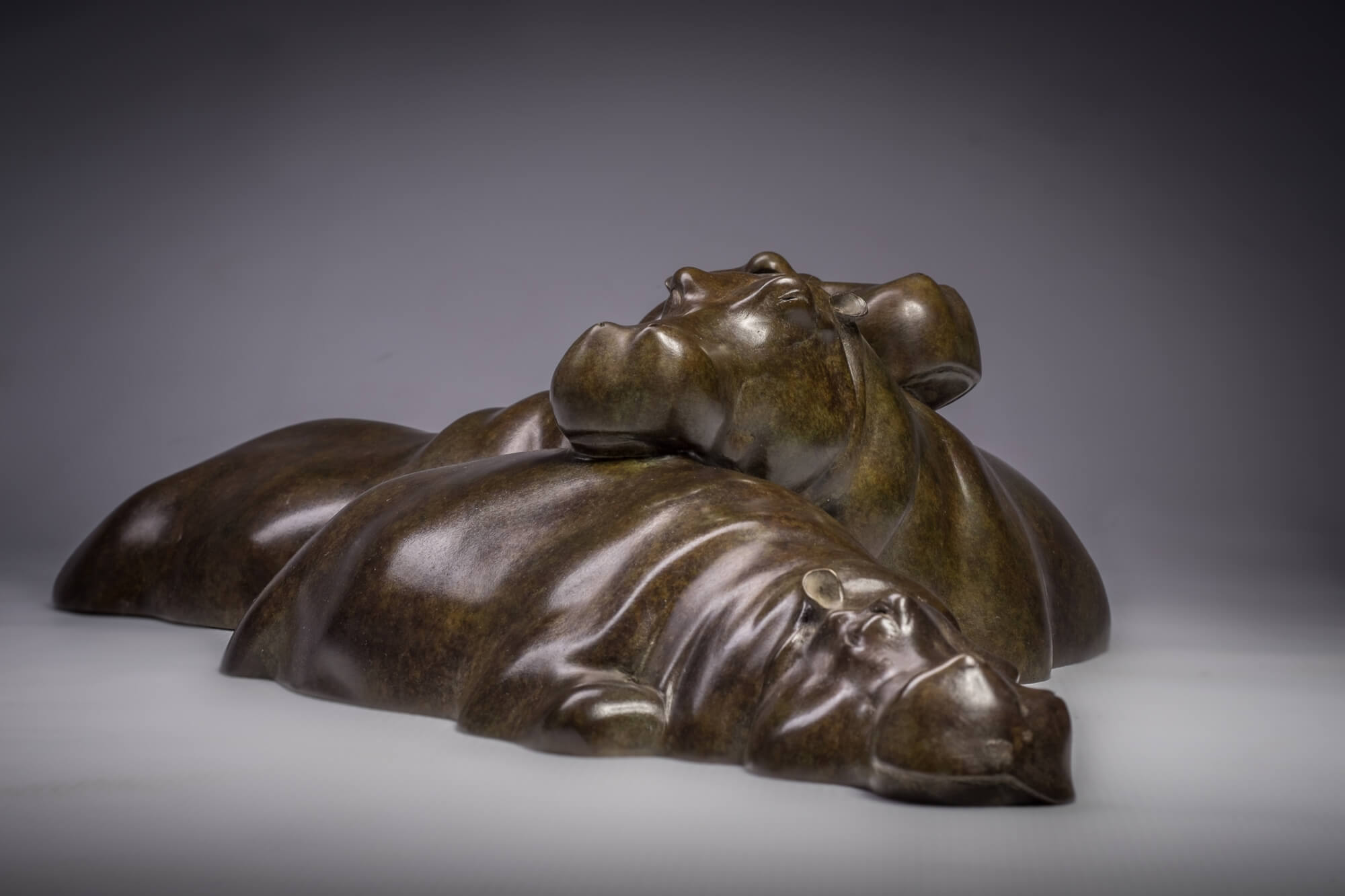 Jonathan Knight | Sleeping Hippos