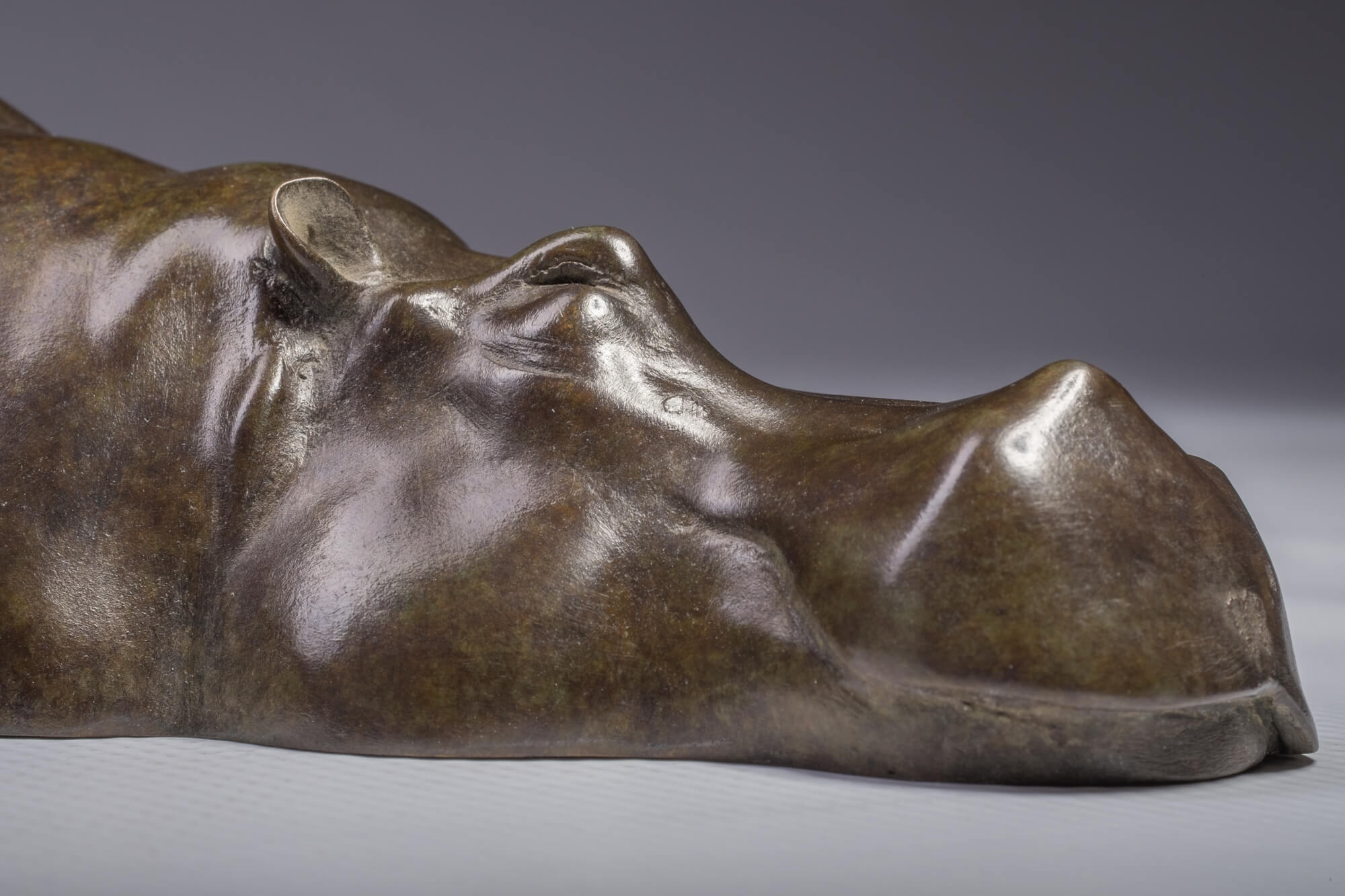 Jonathan Knight | Sleeping Hippos