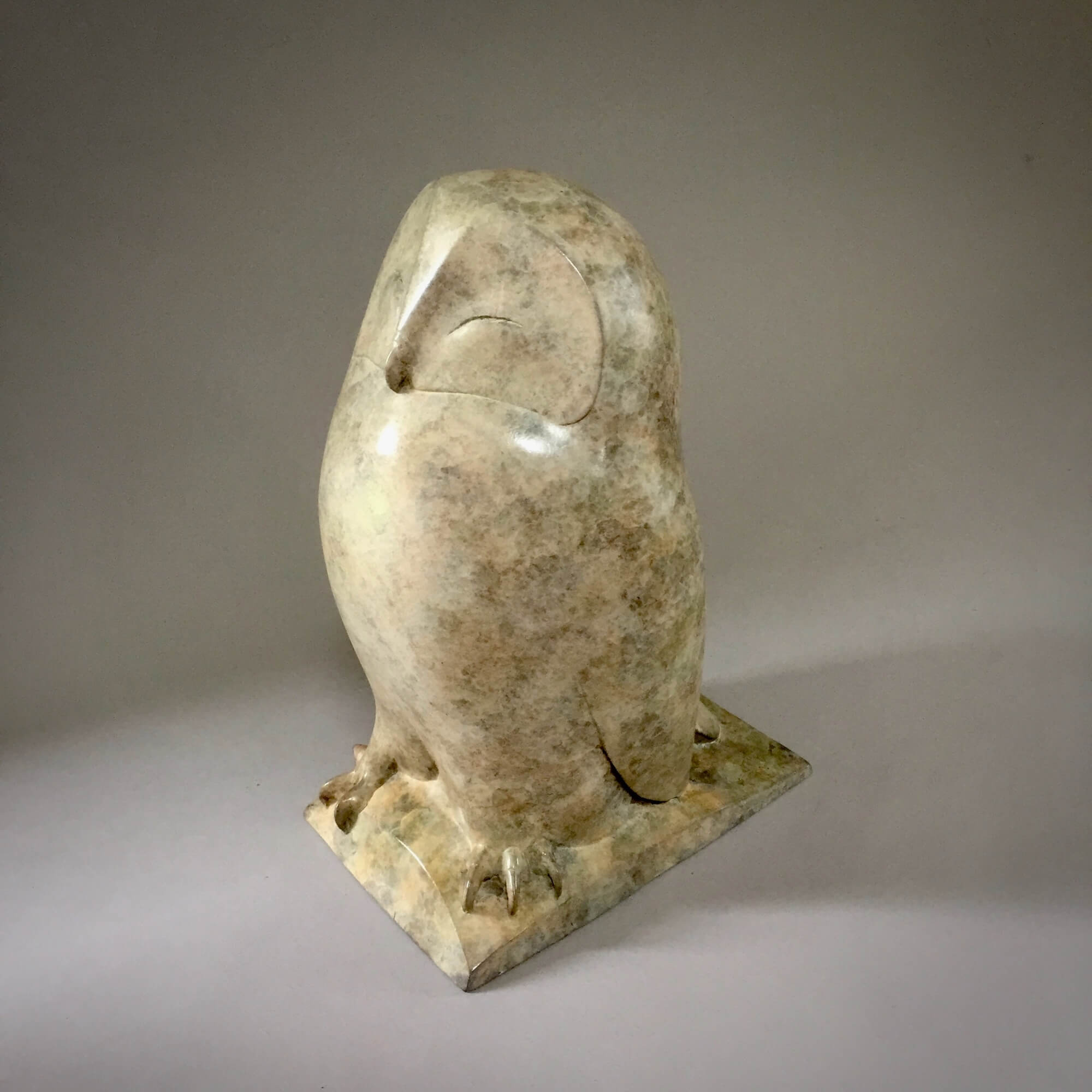 Jonathan Knight | Snowy Owl