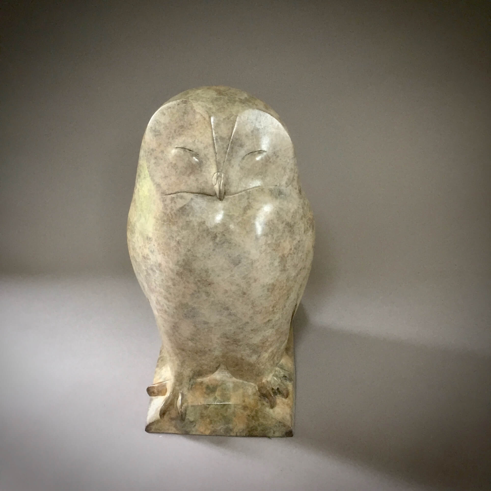 Jonathan Knight | Snowy Owl