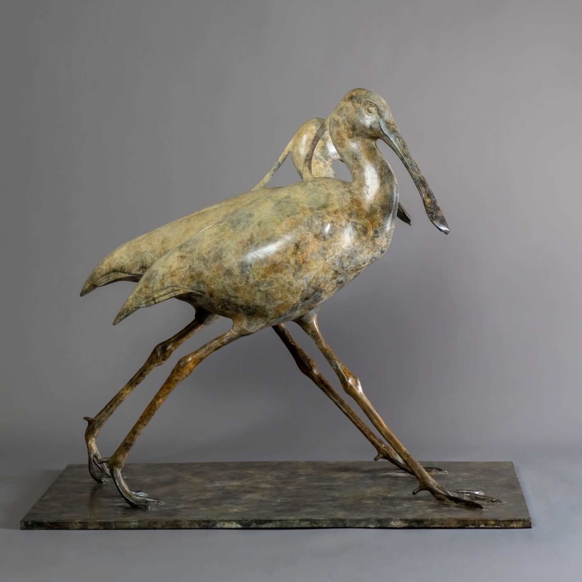Jonathan Knight | Spoonbills