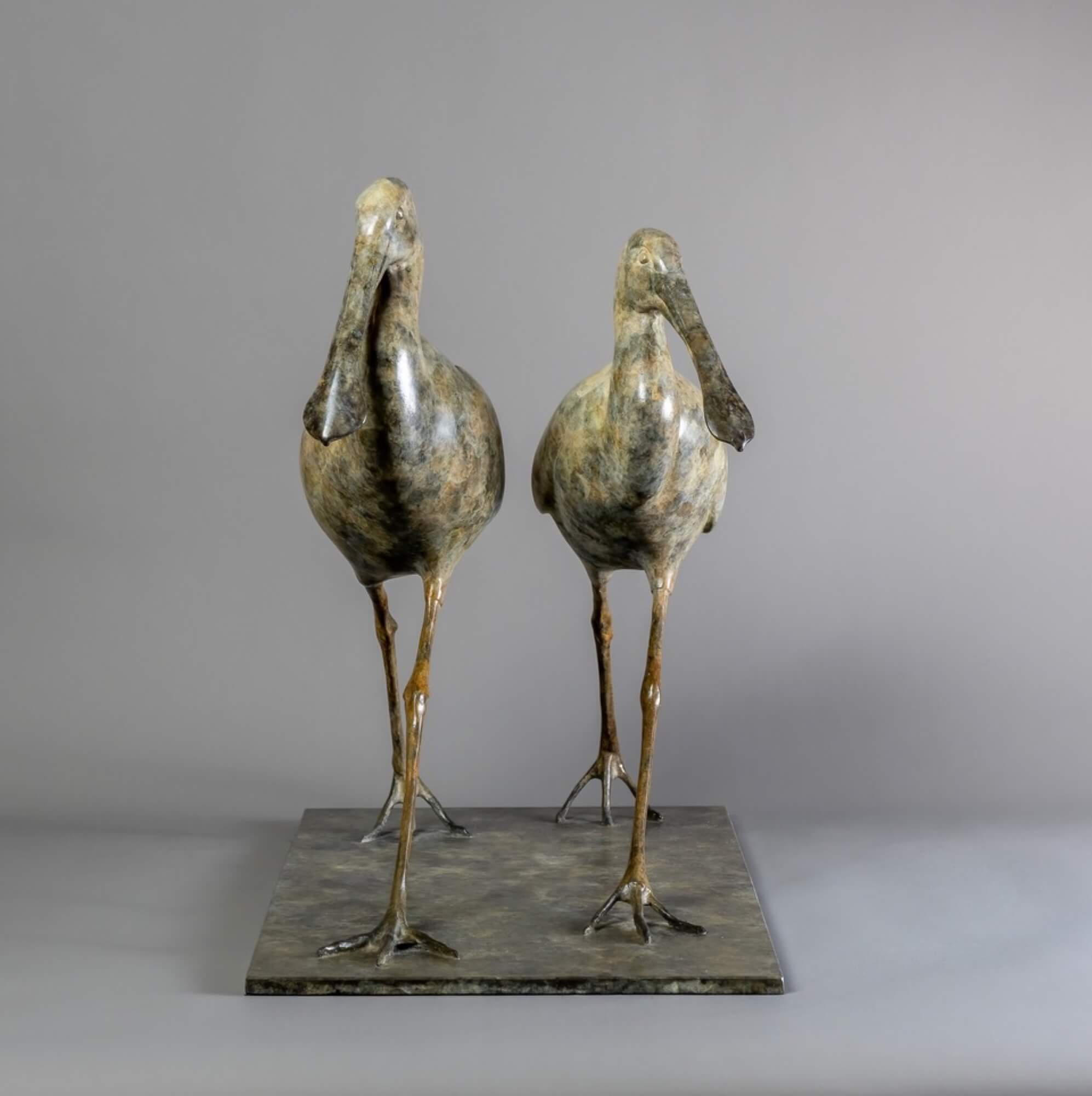 Jonathan Knight | Spoonbills