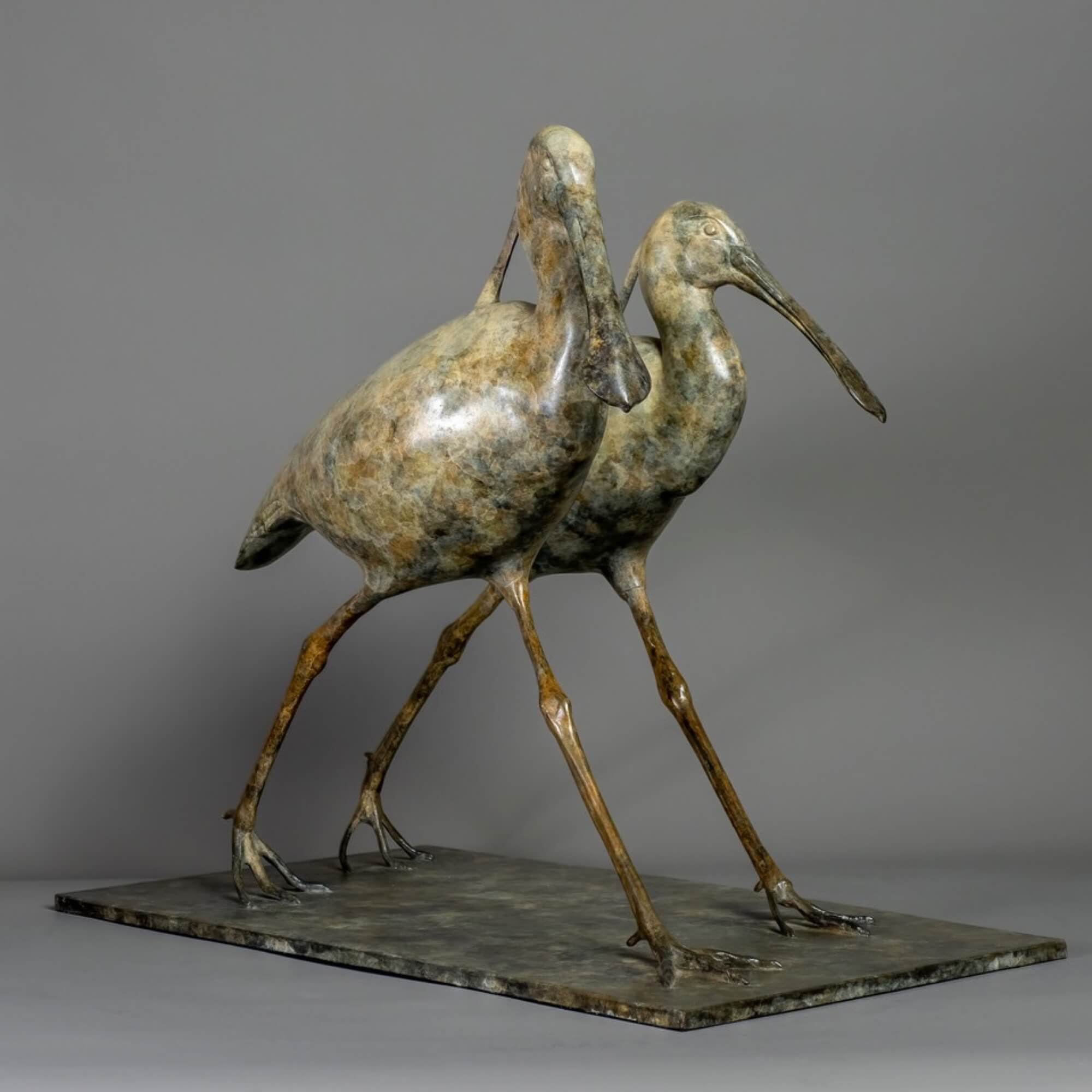 Jonathan Knight | Spoonbills