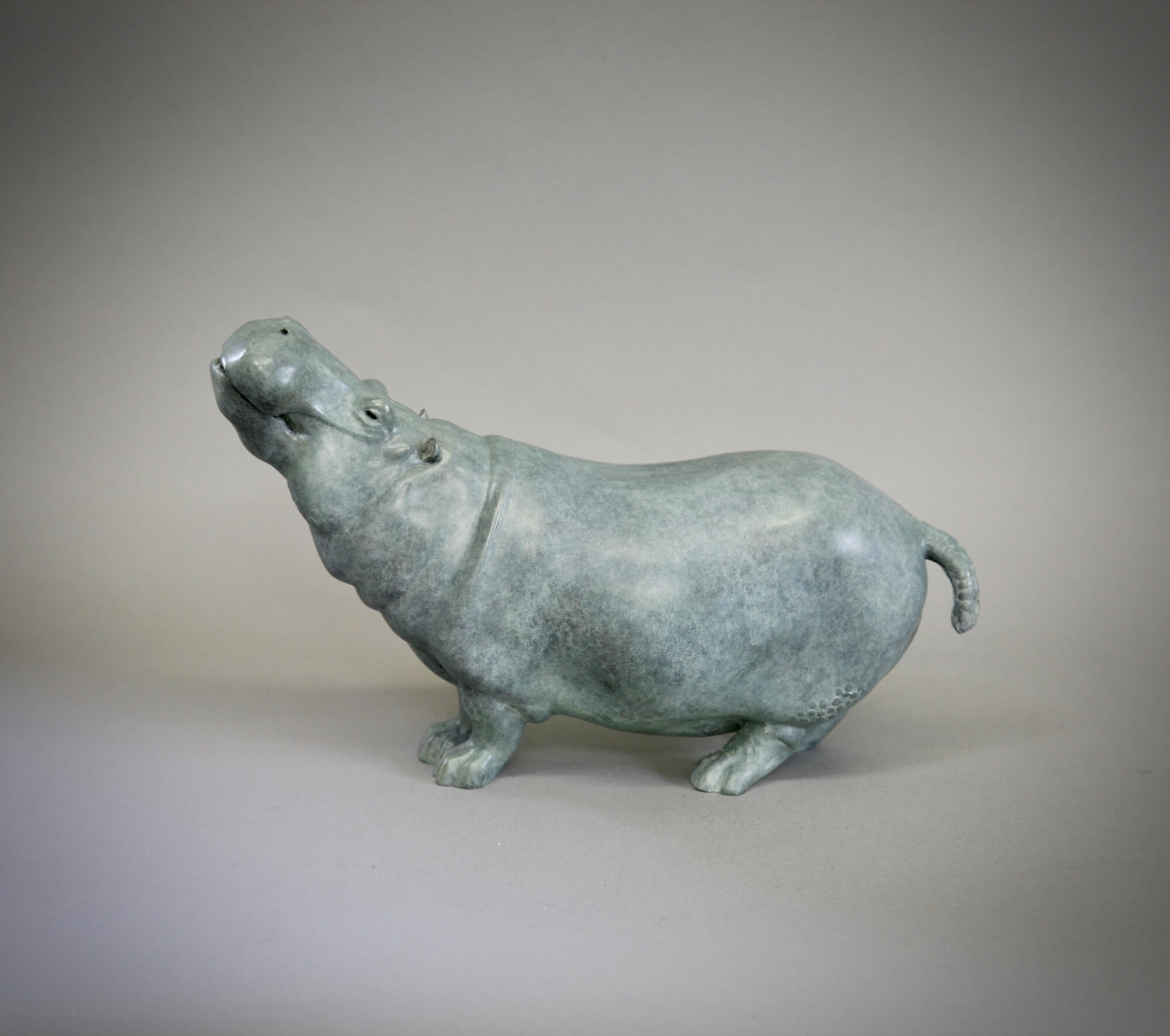 Jonathan Knight | Standing Hippo