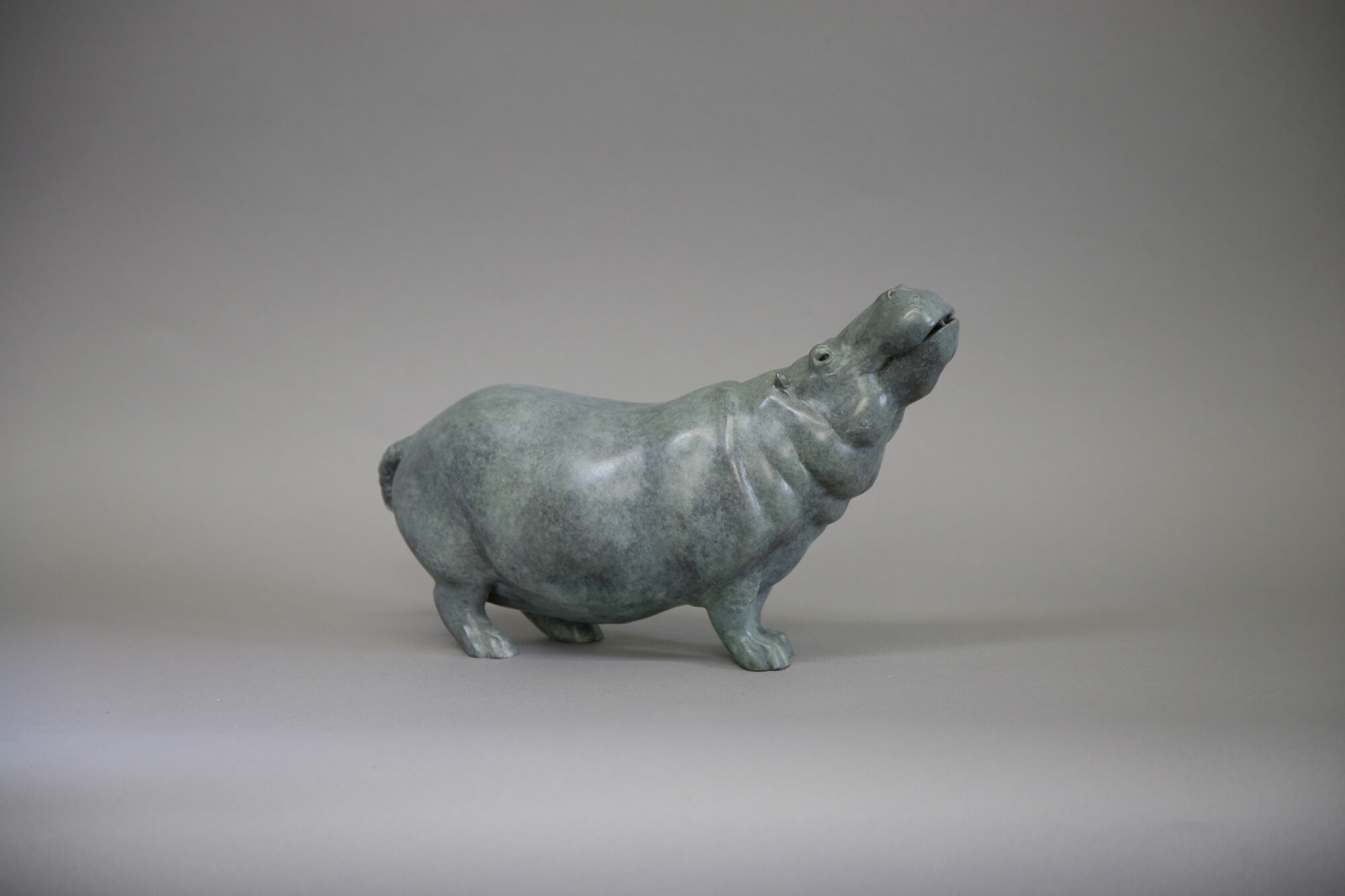 Jonathan Knight | Standing Hippo