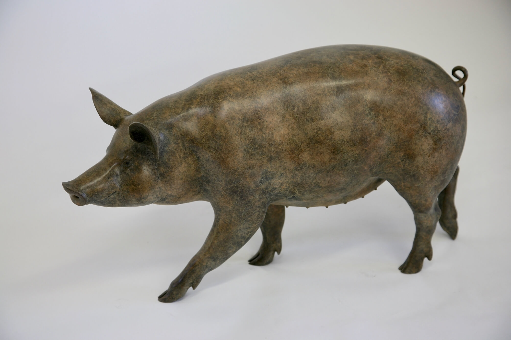 Jonathan Knight | Tamworth Pig