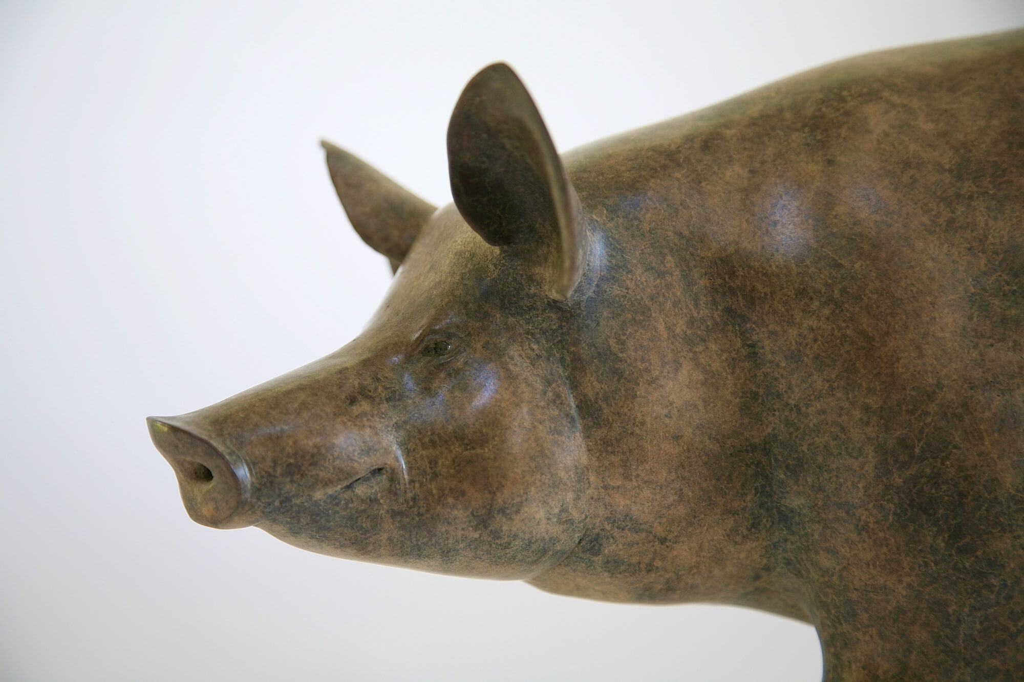 Jonathan Knight | Tamworth Pig