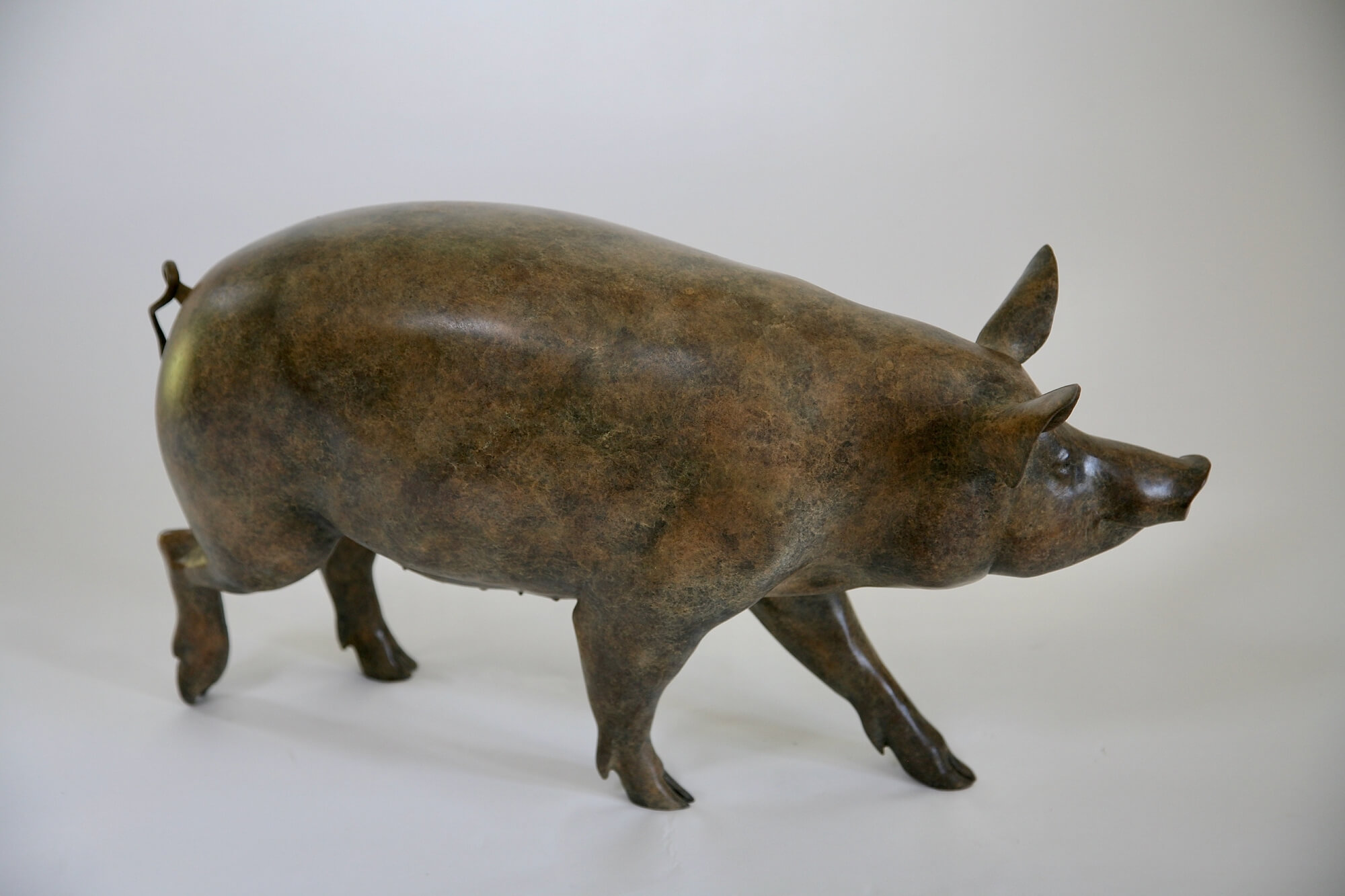Jonathan Knight | Tamworth Pig