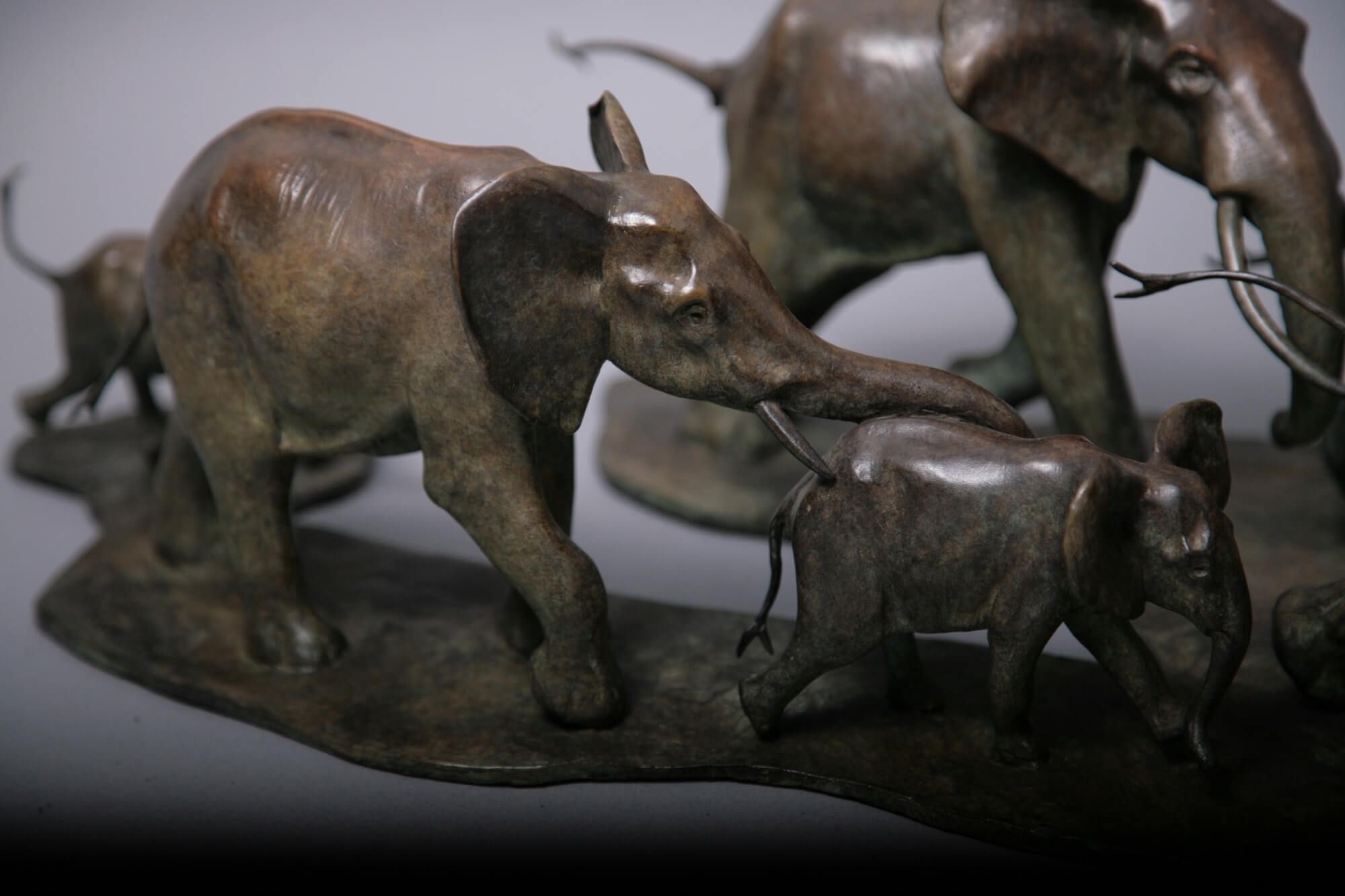 Jonathan Knight | Troupe of Elephants
