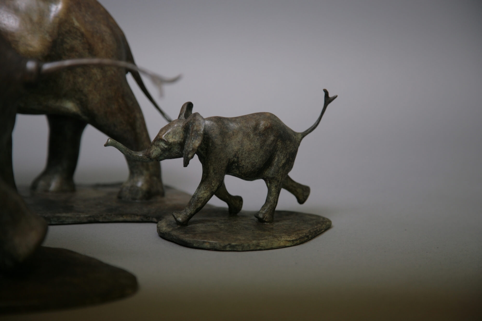 Jonathan Knight | Troupe of Elephants