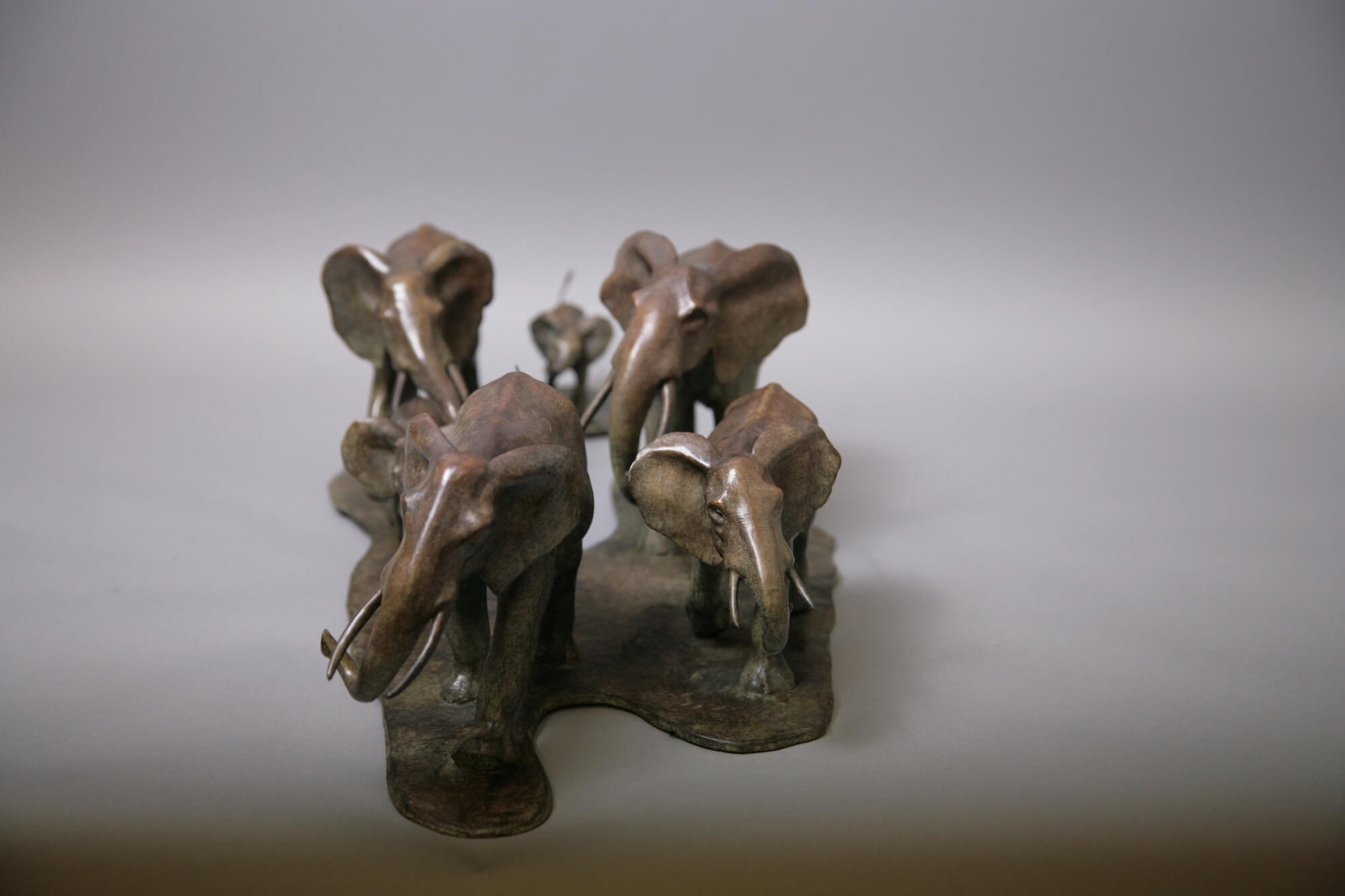 Jonathan Knight | Troupe of Elephants