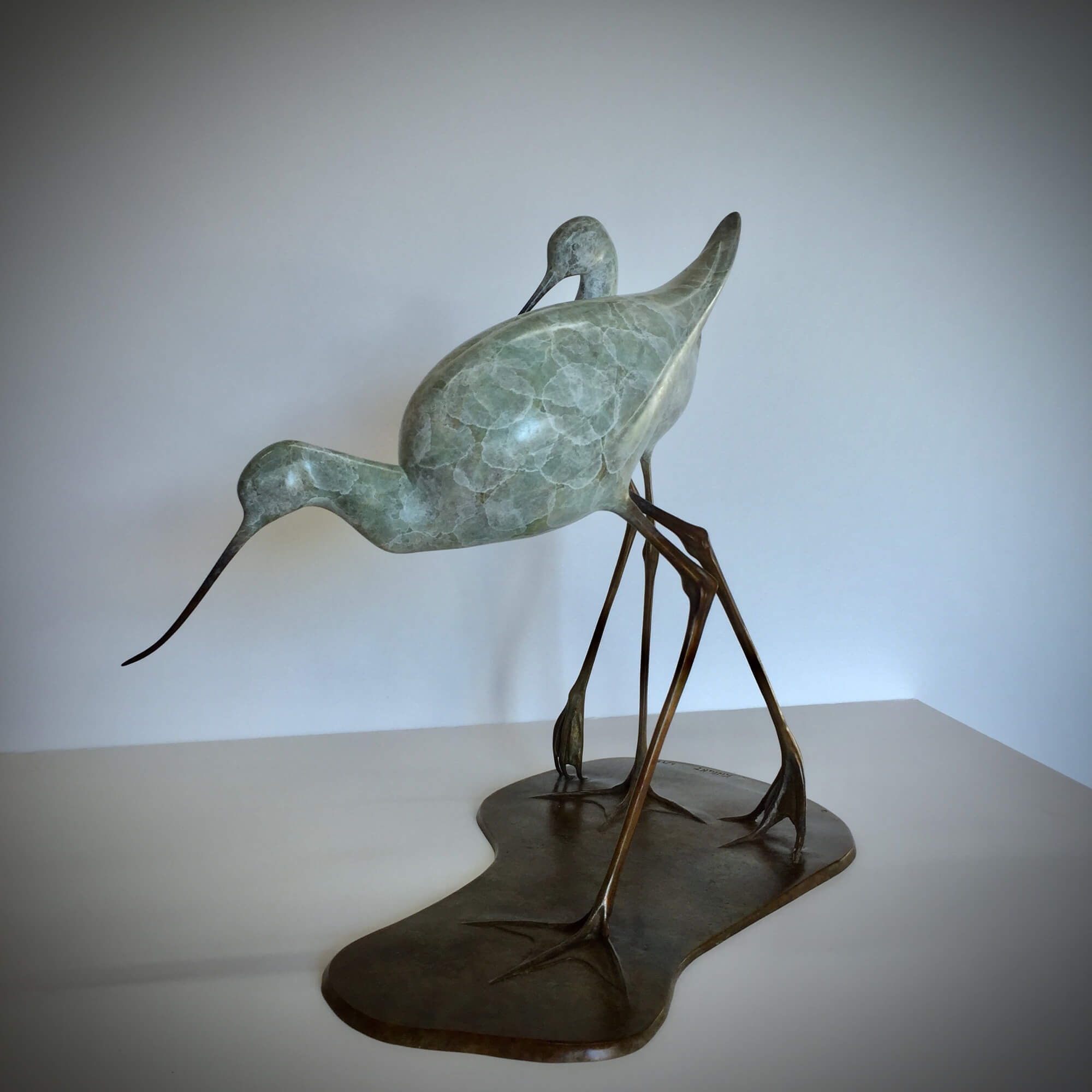 Jonathan Knight | Two Avocets Walking