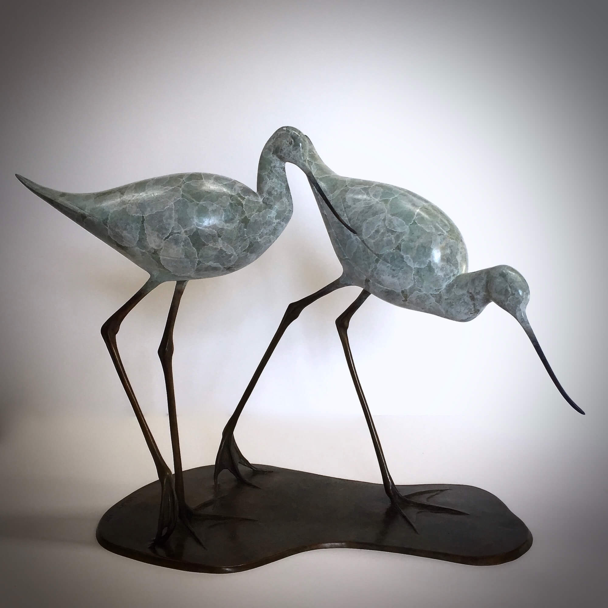 Jonathan Knight | Two Avocets Walking