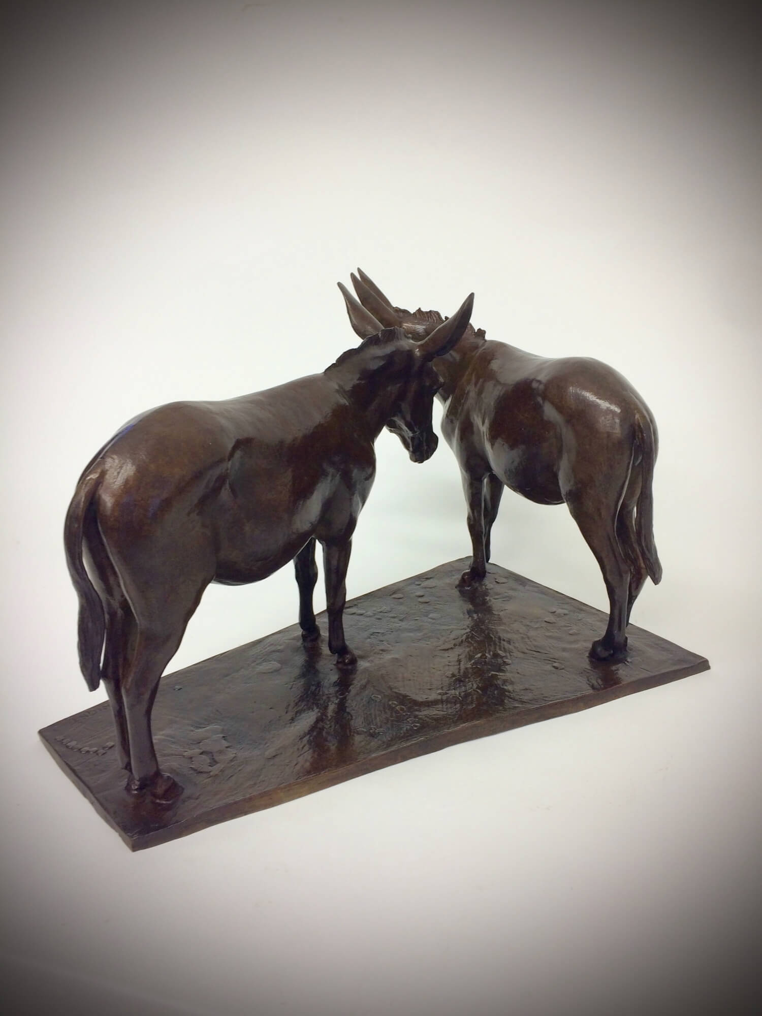 Jonathan Knight | Two Donkeys