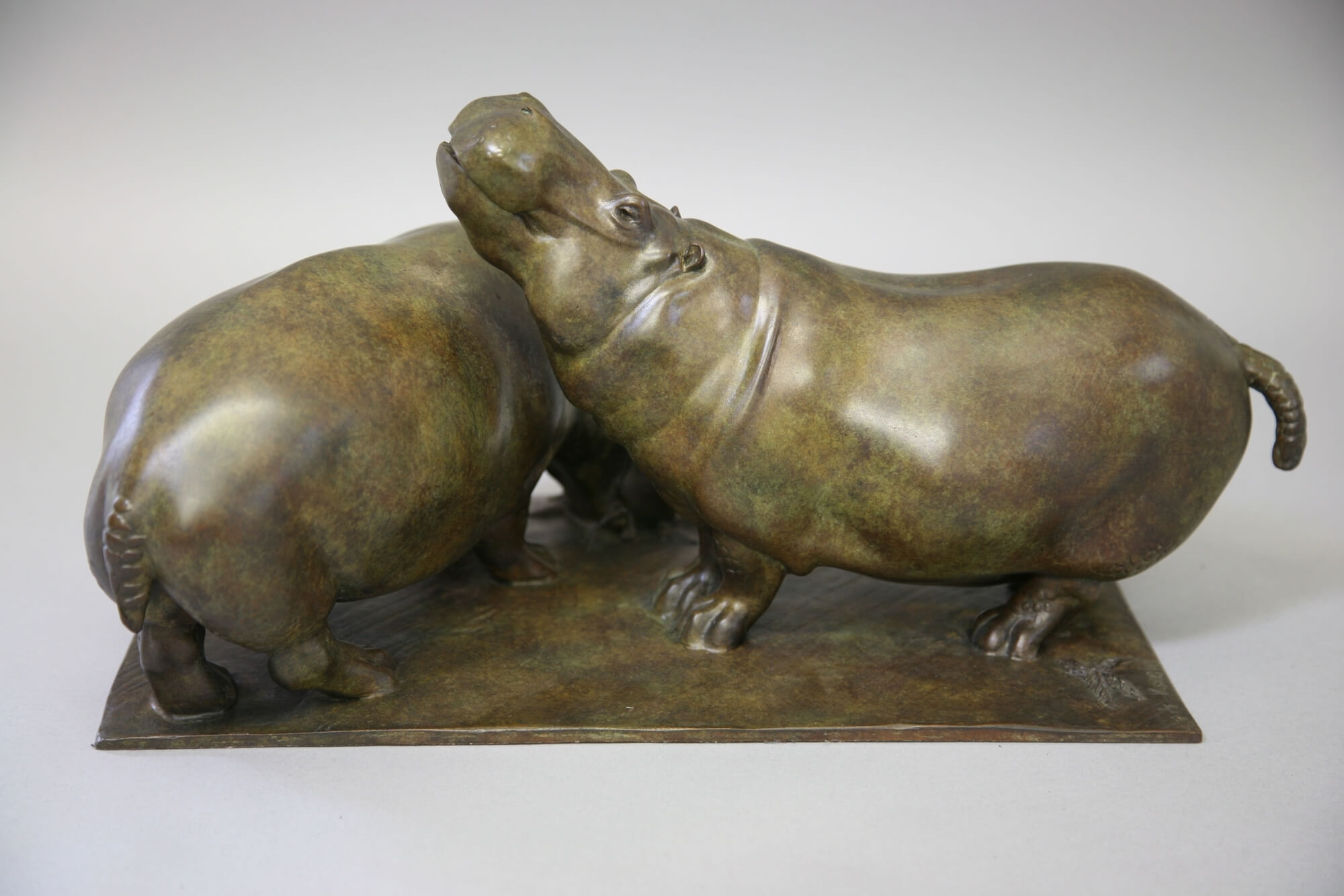 Jonathan Knight | Two Hippopotami