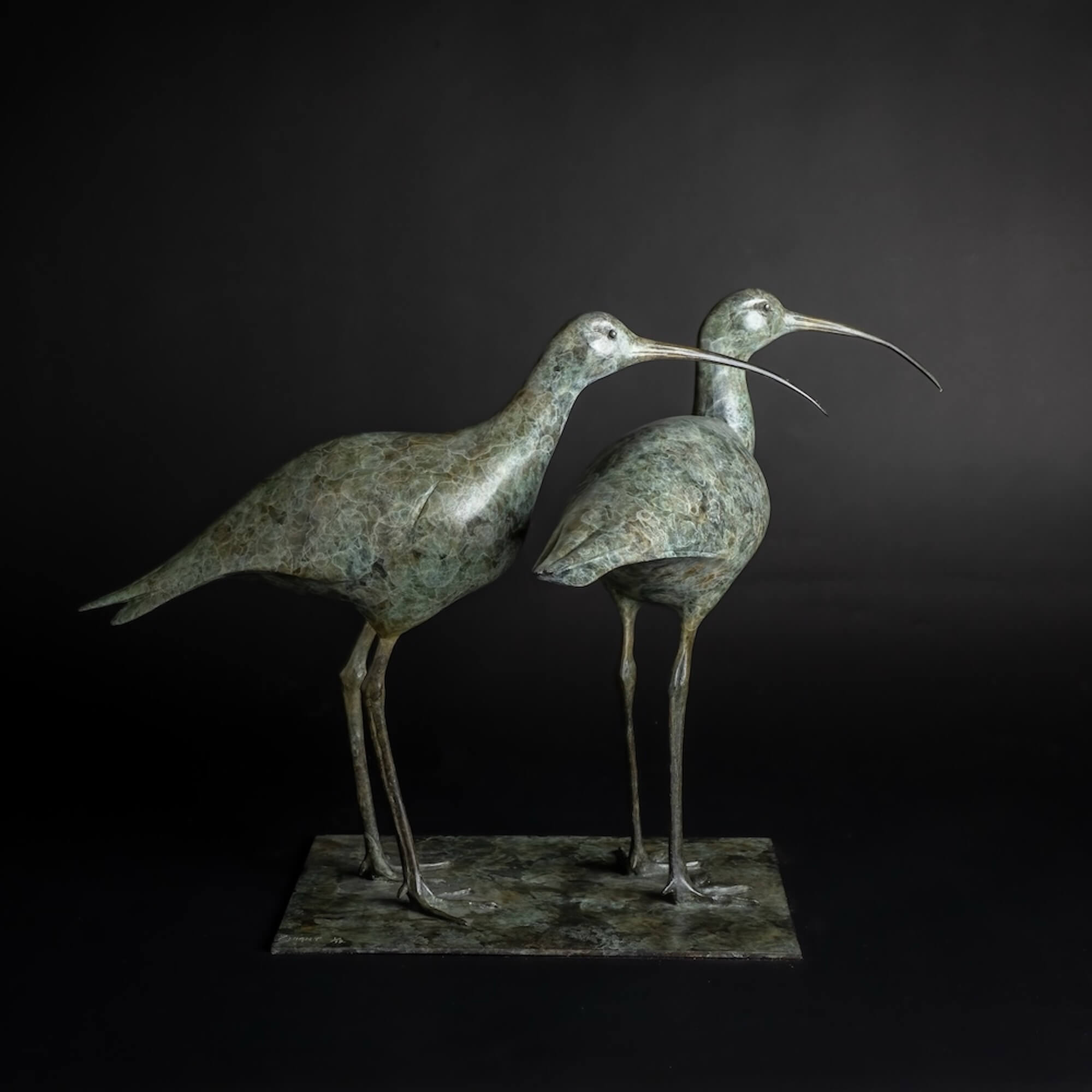 Curlews