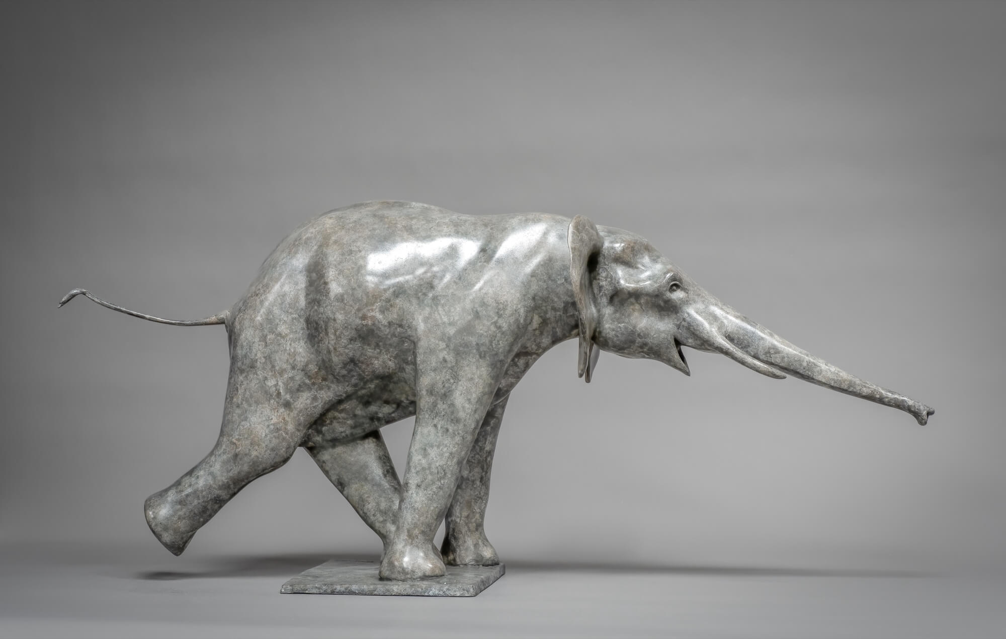 Elephant Reaching Out