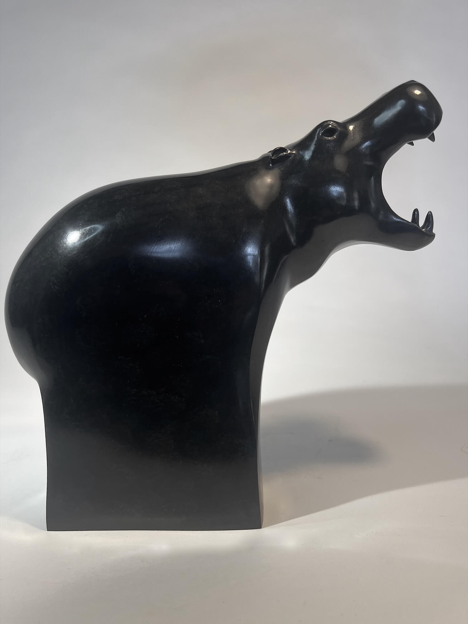 Hippopotamus