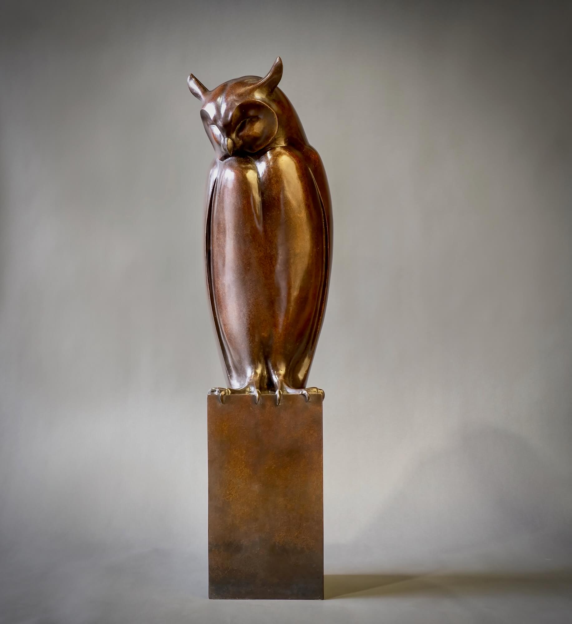 Long-Eared Owl