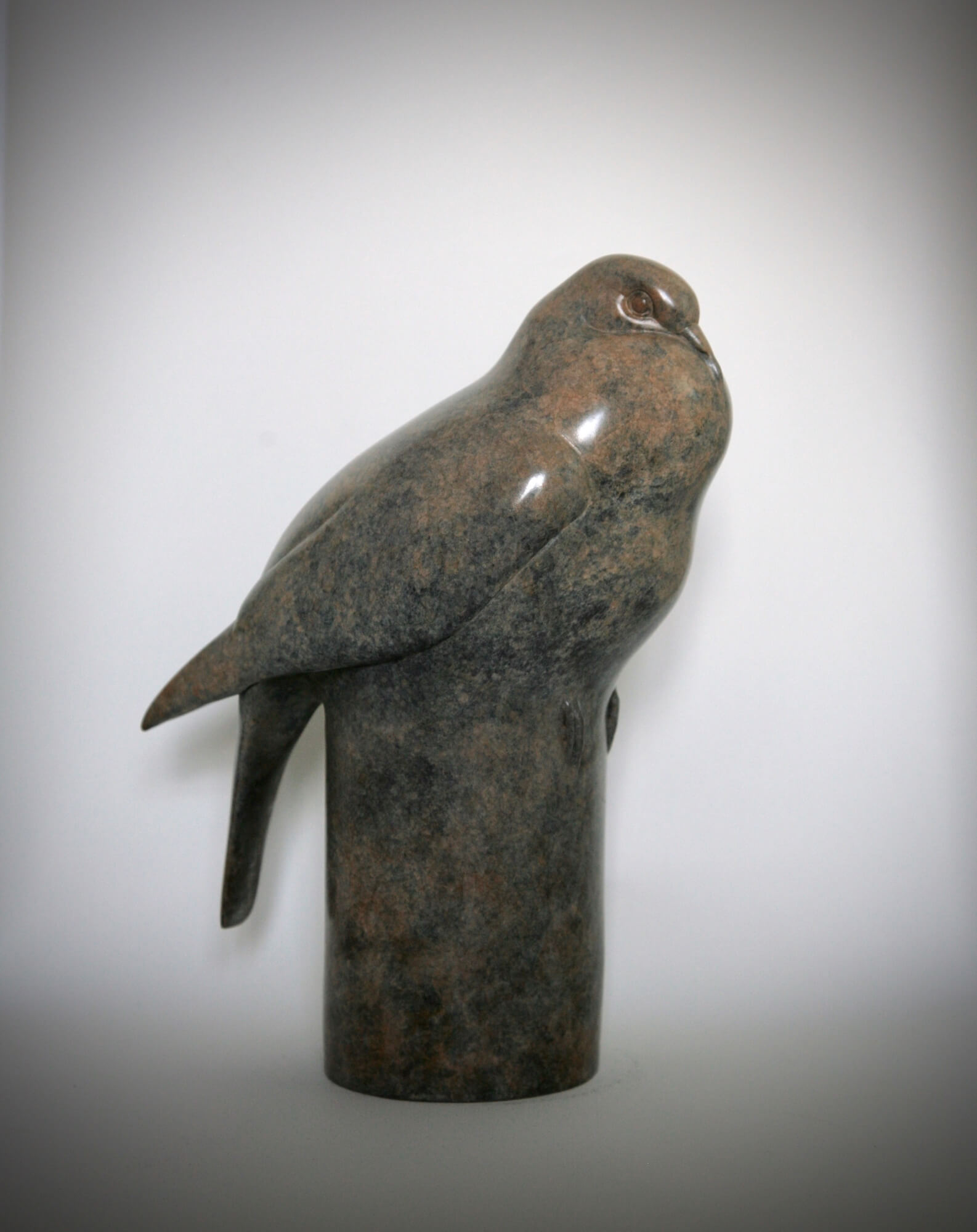 Wood Pigeon