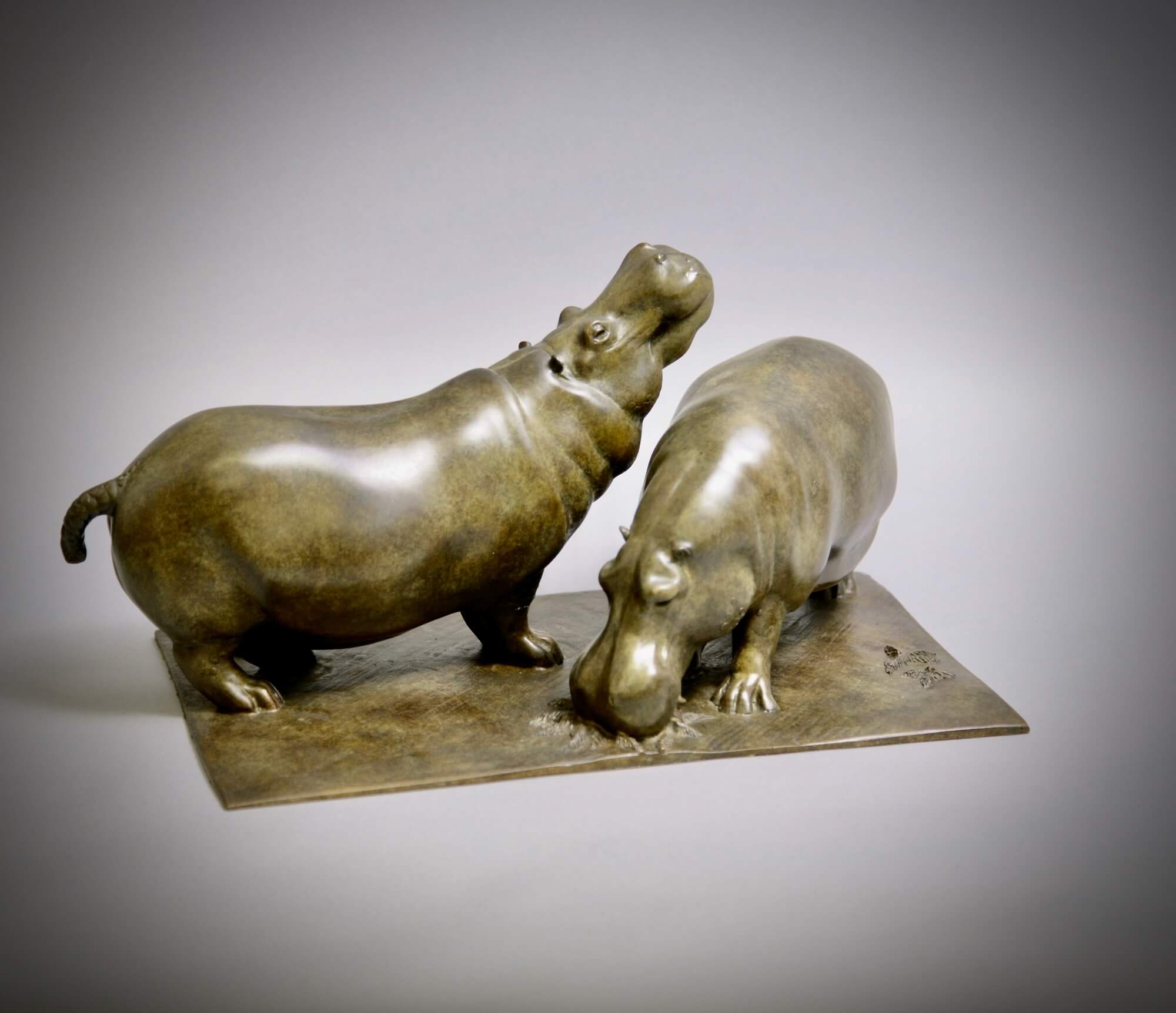 Two Hippopotami