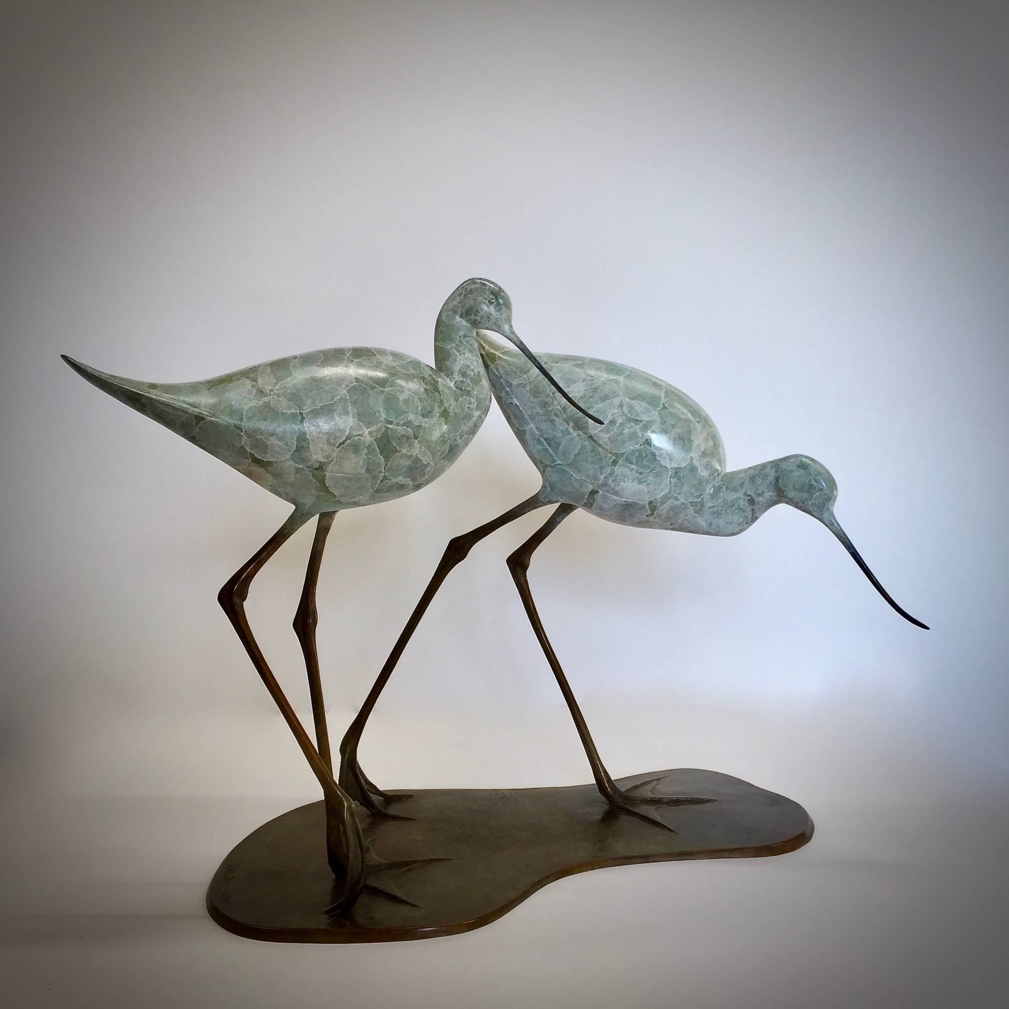 Two Avocets Walking