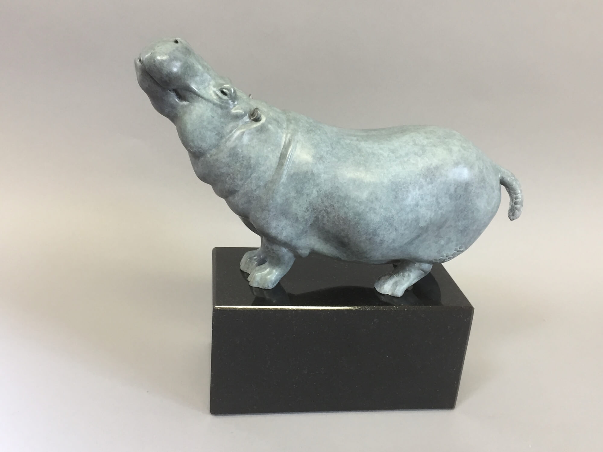 Standing Hippo