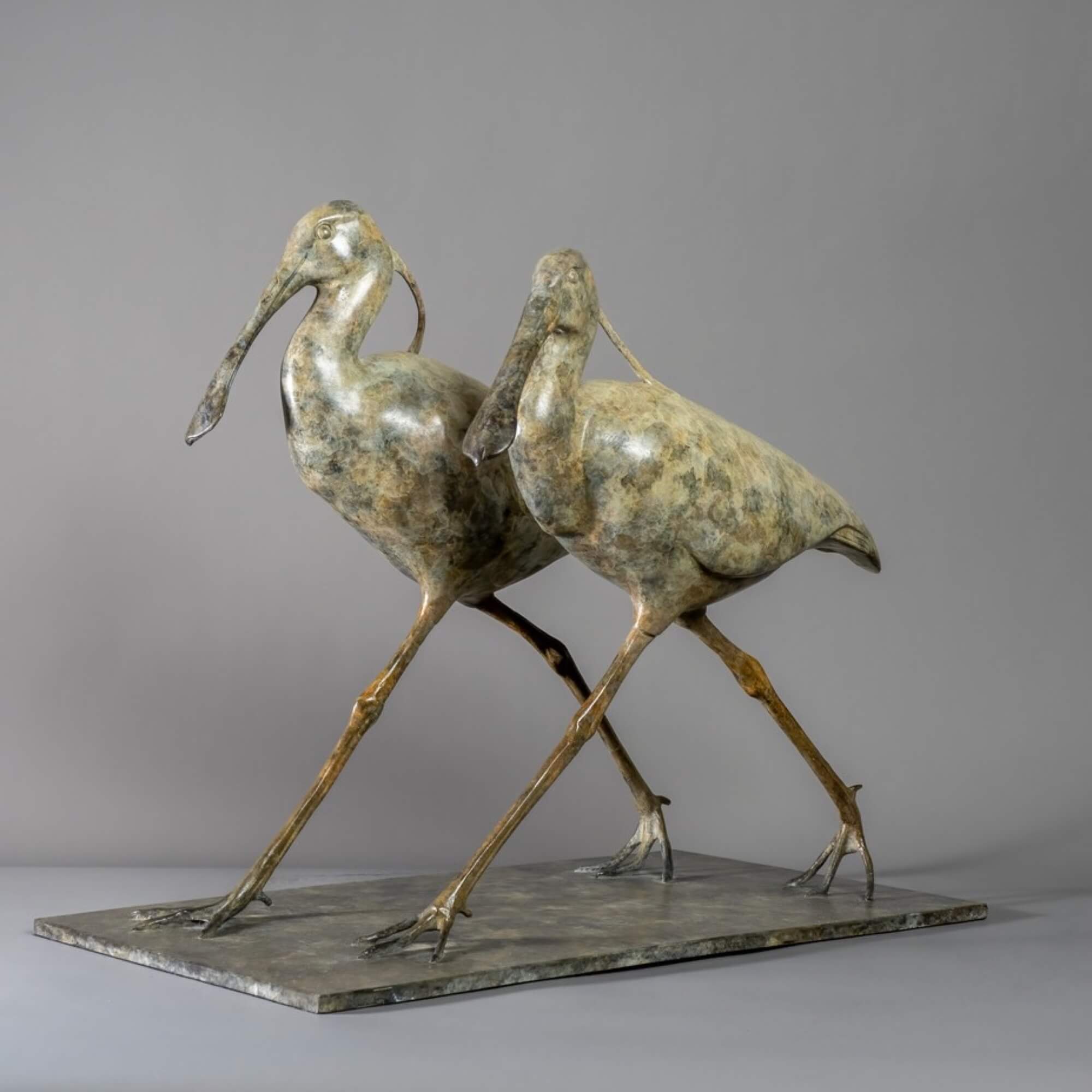 Spoonbills