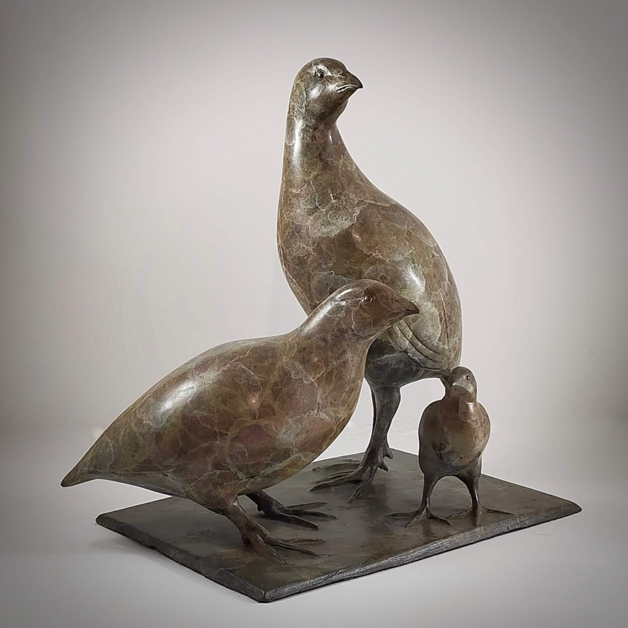 Family of Quail