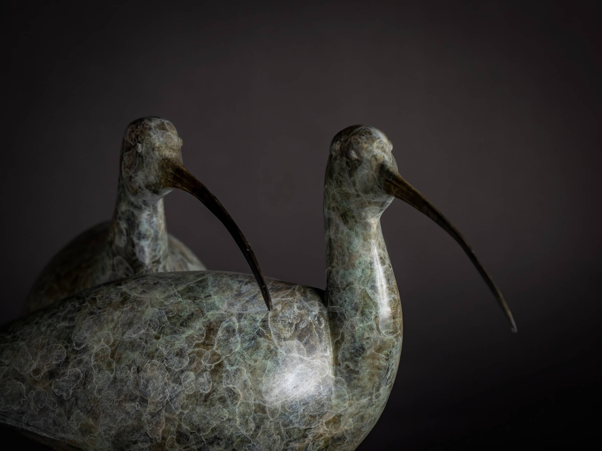 Curlews