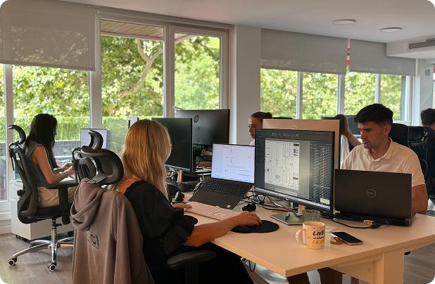 Project Overview Image